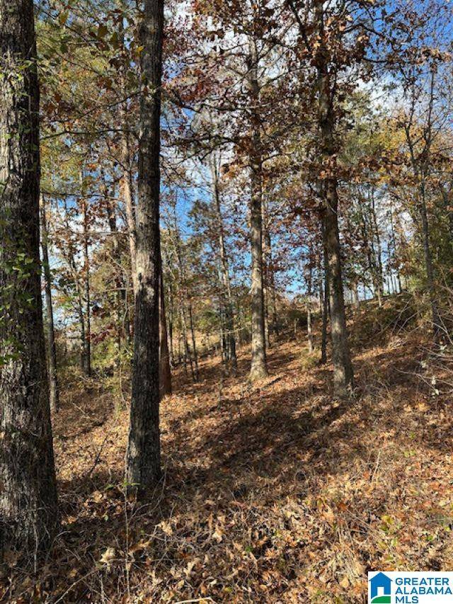 Chelsea, AL 35043,113 CREST DRIVE #1