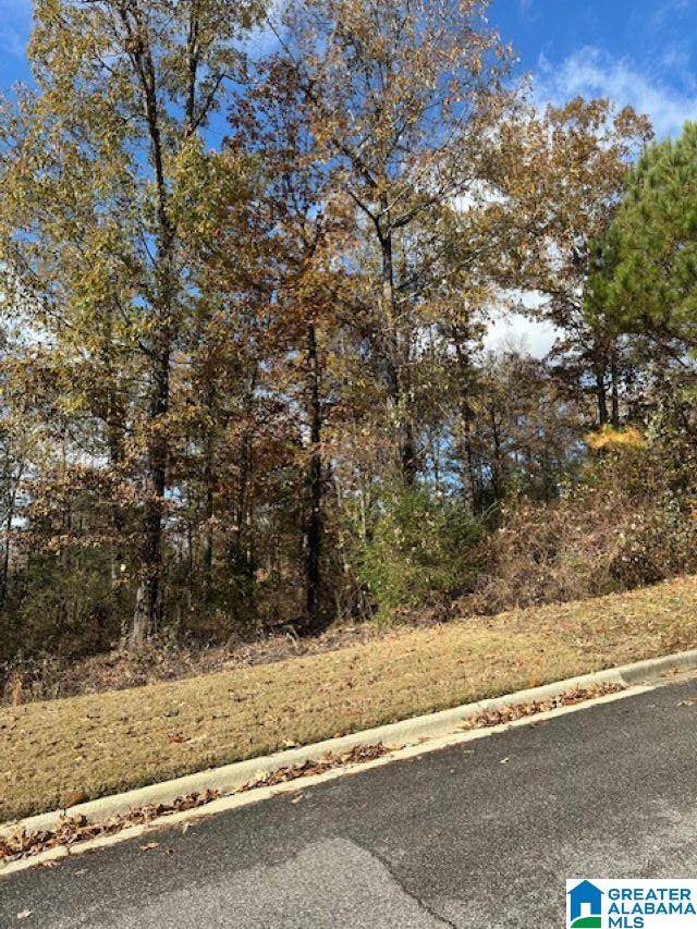 Chelsea, AL 35043,113 CREST DRIVE #1