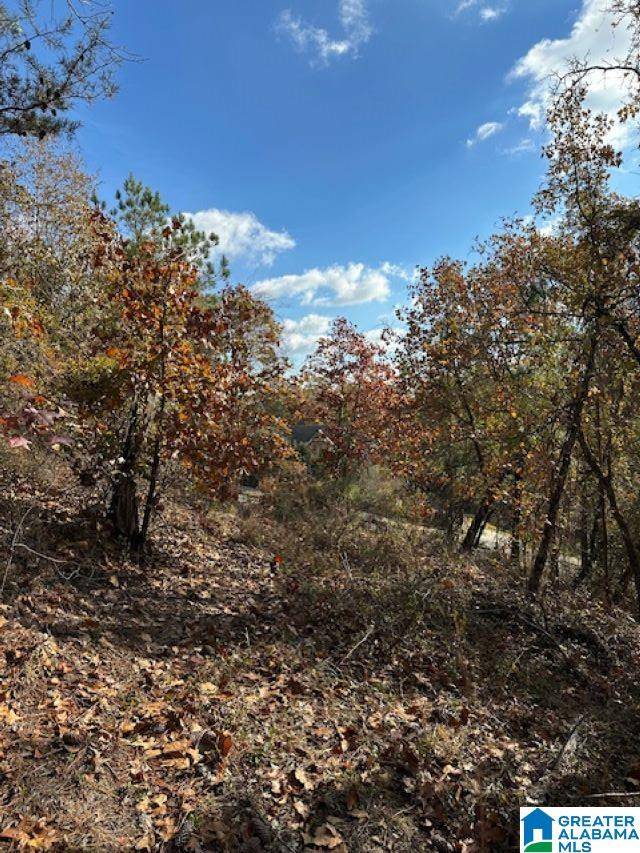 Chelsea, AL 35043,121 CREST DRIVE #1