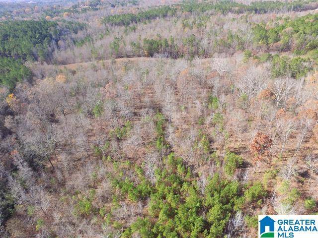 Alpine, AL 35014,385 CARR ROAD #0