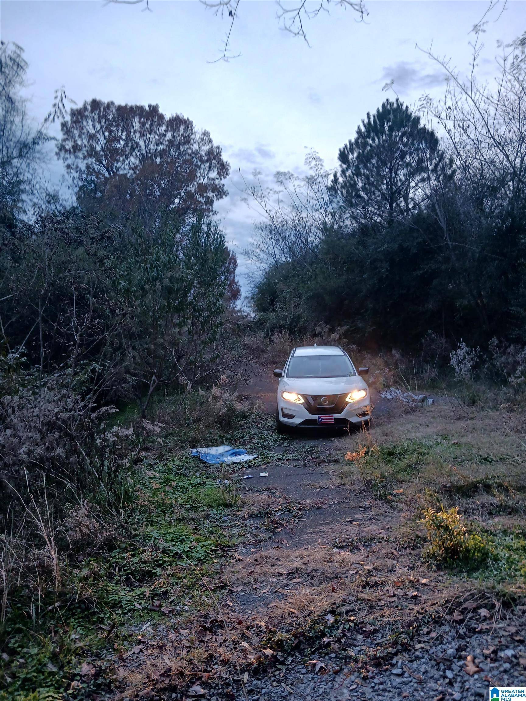 Graysville, AL 35073,451 10TH AVENUE SW