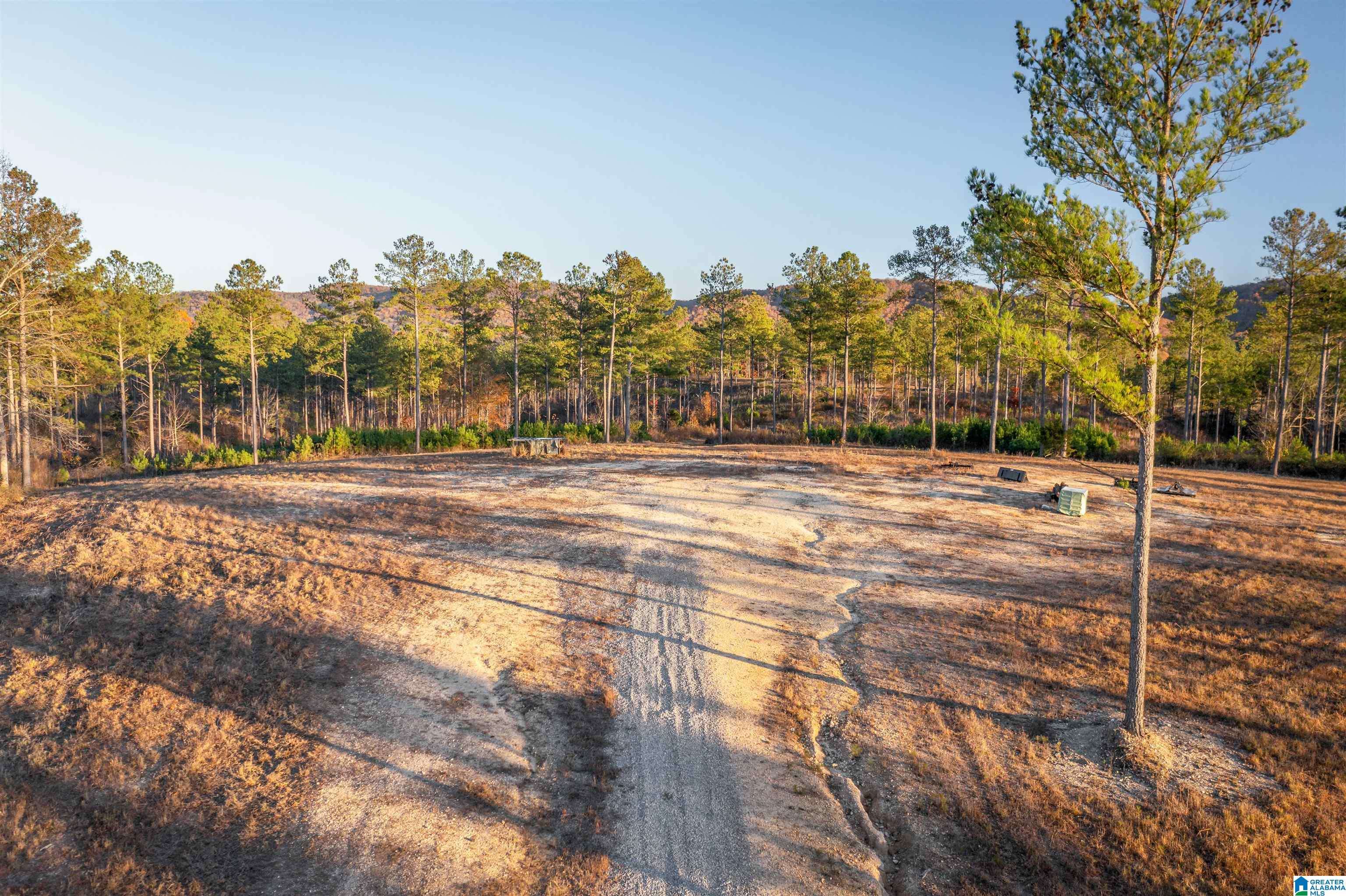 Gaylesville, AL 35973,4090 COUNTY ROAD 62 #3