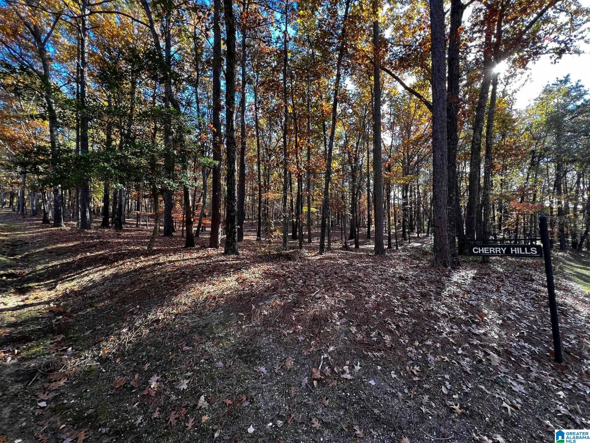 Birmingham, AL 35242,1 CHERRY HILLS #212