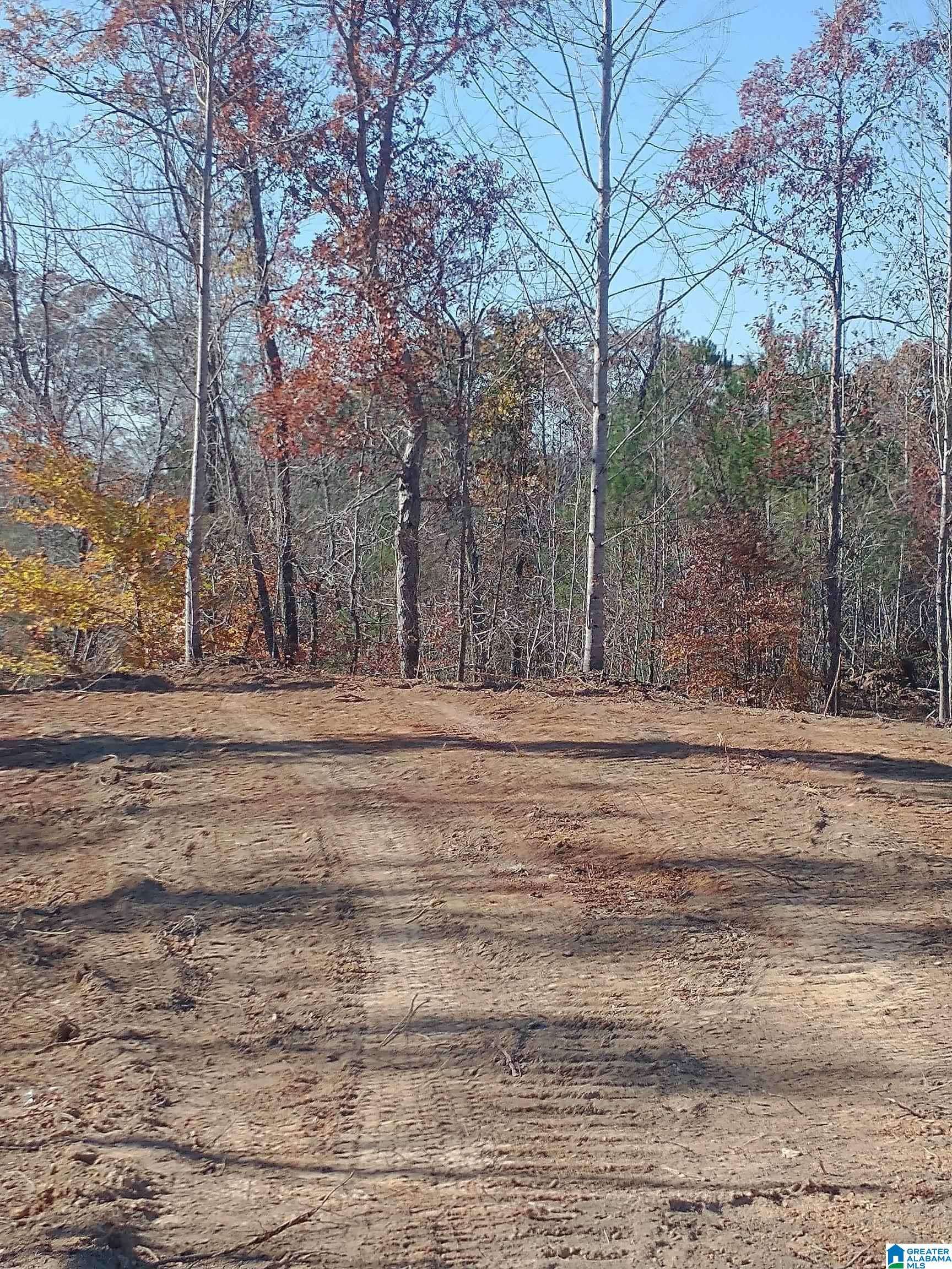 Alpine, AL 35014,1st SERENITY LANE #1