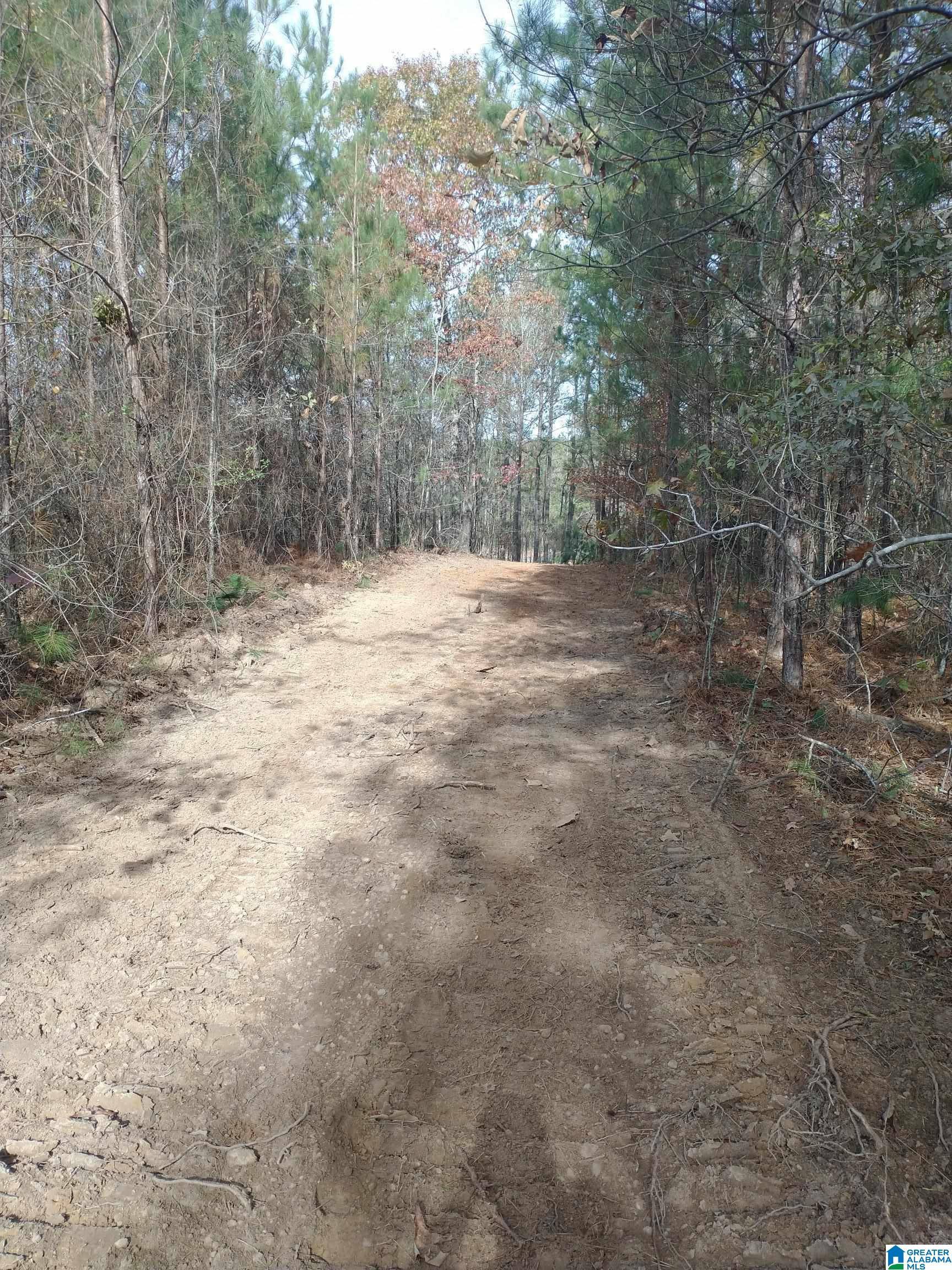 Alpine, AL 35014,1st SERENITY LANE #1