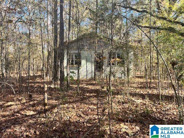 Ashville, AL 35953,0 US HWY 231