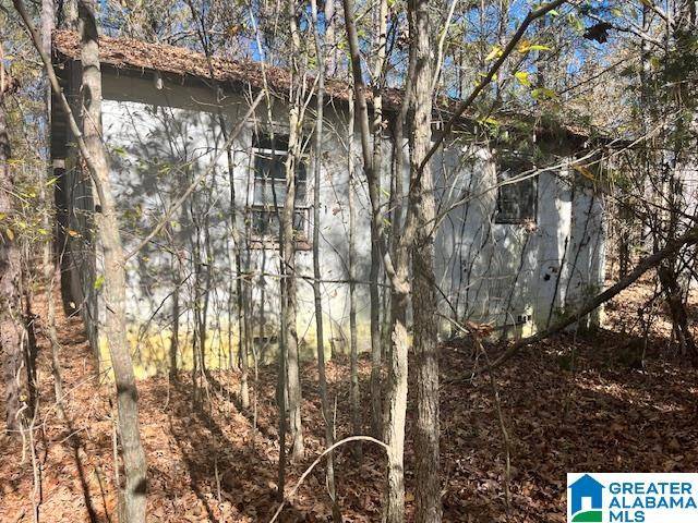 Ashville, AL 35953,0 US HWY 231