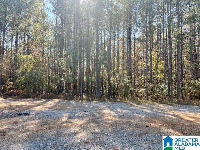 Talladega, AL 35160,00 ALABAMA HIGHWAY 77 #16