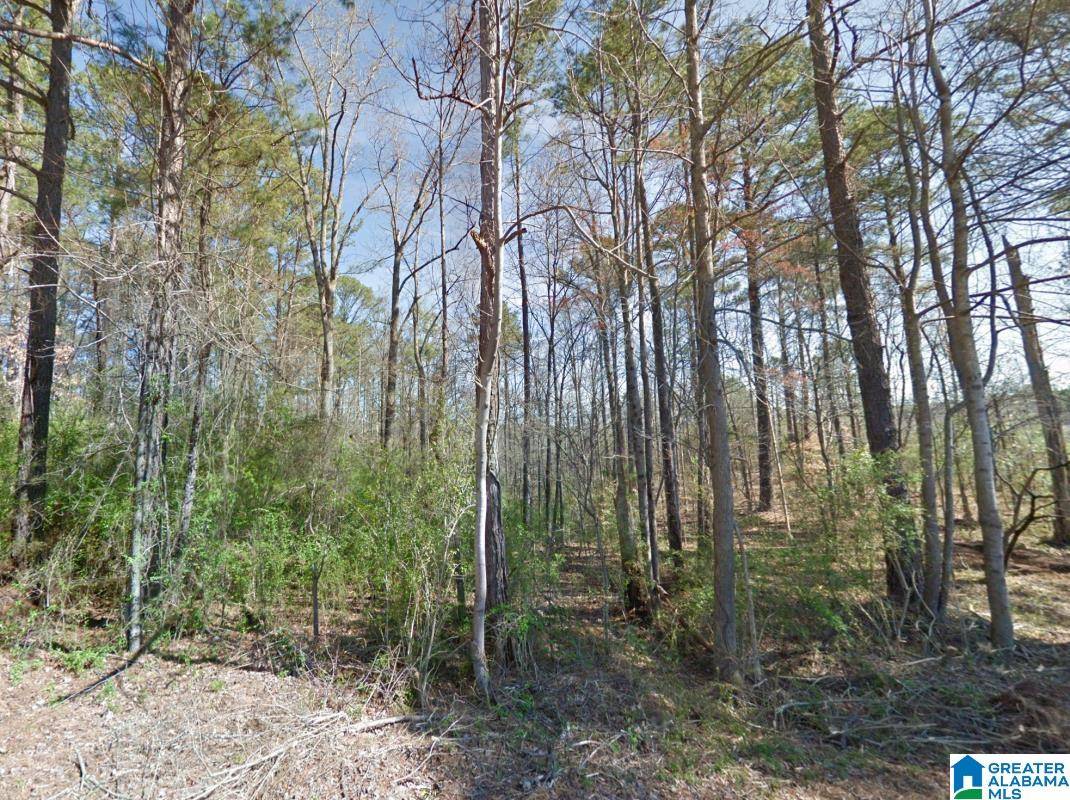 Cordova, AL 35550,00 GRANNY HYCHE ROAD #-