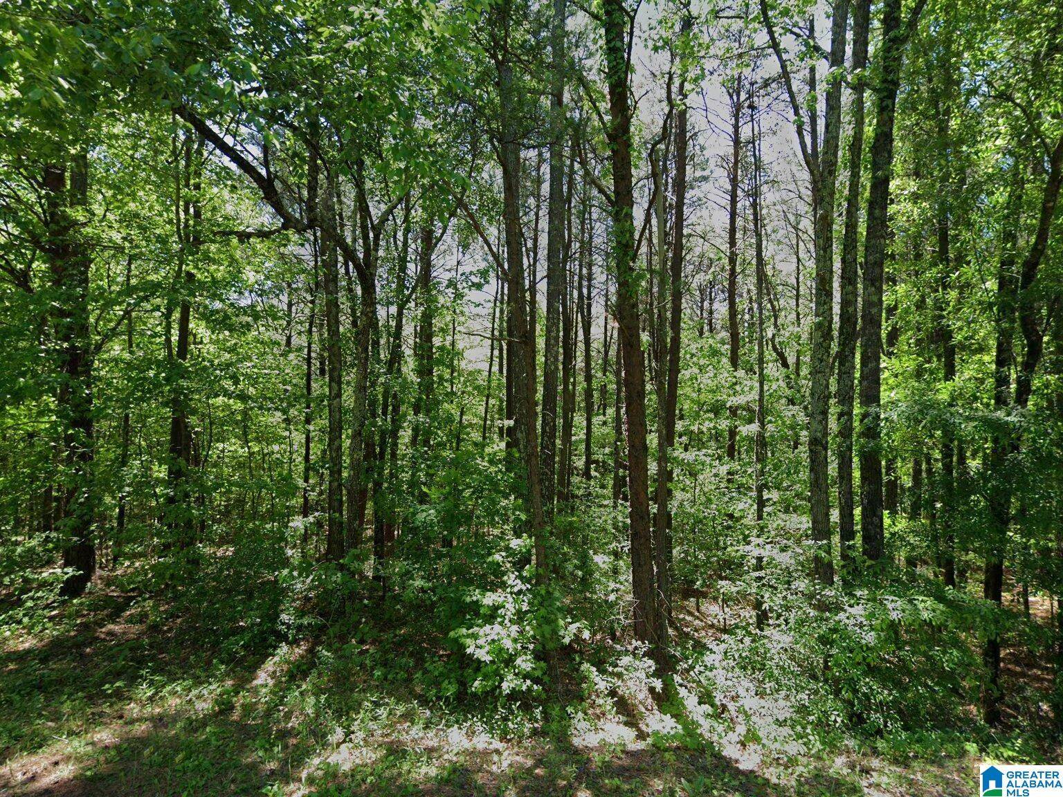 Bessemer, AL 35023,6837 BLUEBERRY ROAD #000