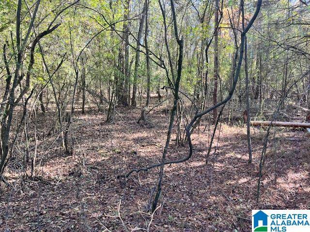 Pell City, AL 35125,1571 N WOLF CREEK ROAD #4