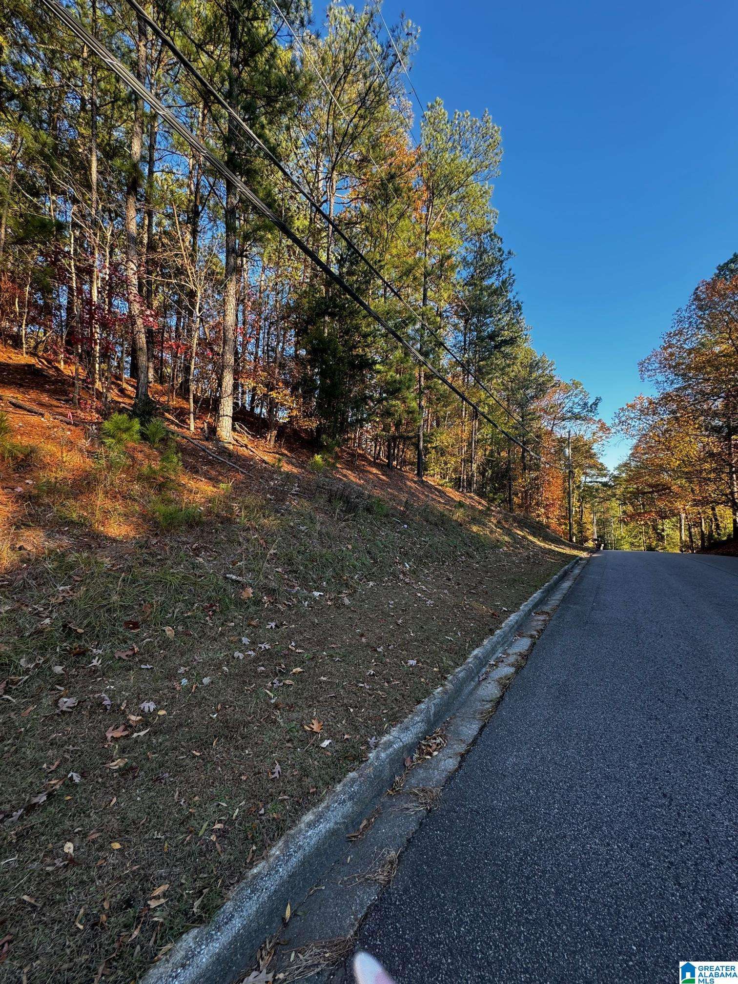 Vestavia Hills, AL 35216,3724 CHESTNUT RIDGE LANE #2-B