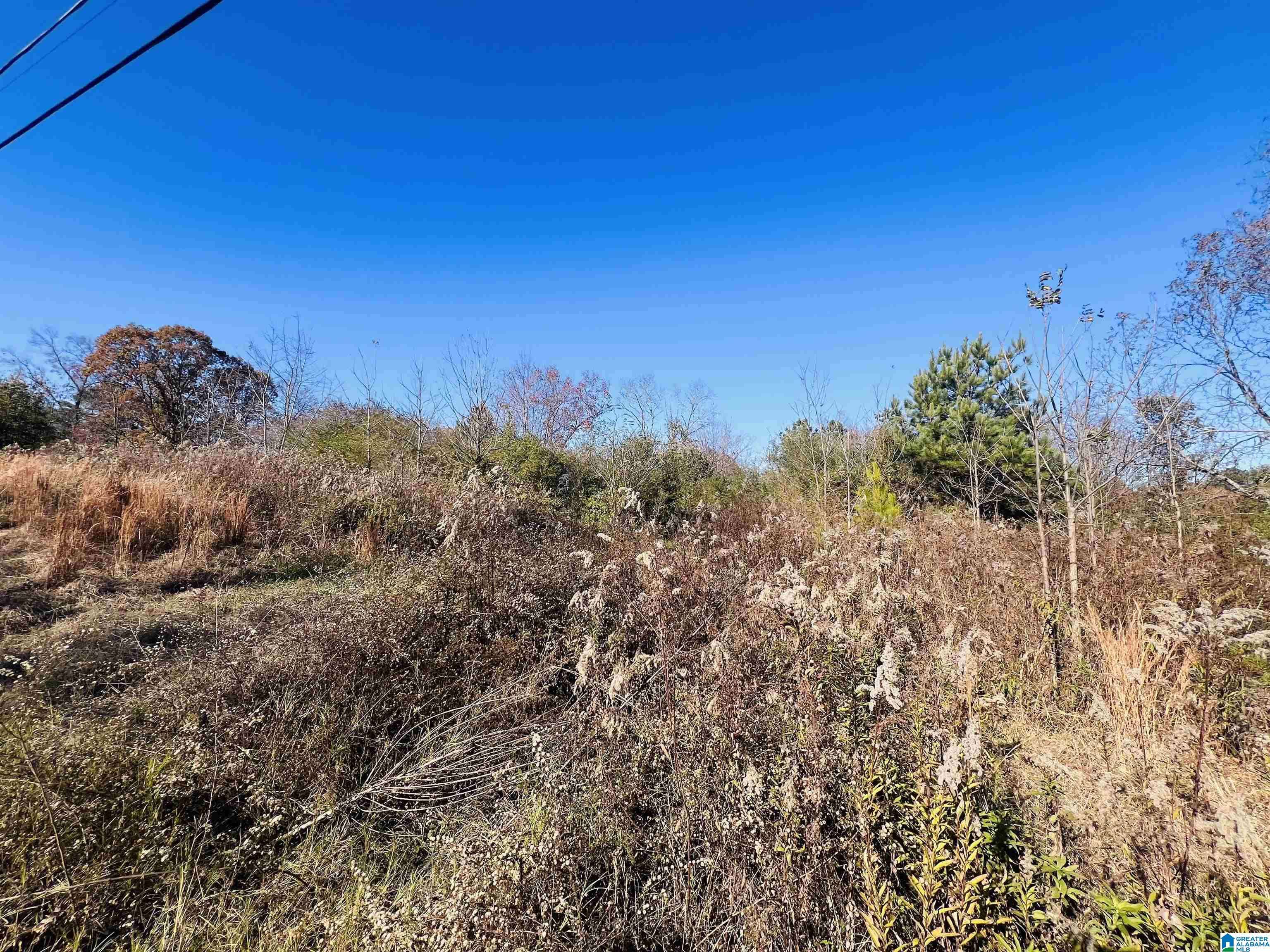 Cropwell, AL 35054,00 COOSA ISLAND ROAD #23 and 24