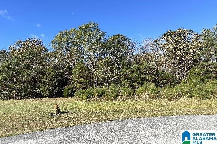 Lincoln, AL 35096,0 EASTLAND HILLS DRIVE #89