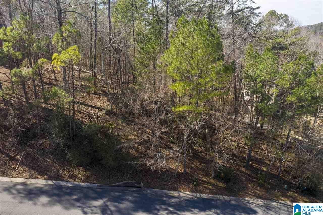 Birmingham, AL 35242,2528 INVERNESS POINT DRIVE #913