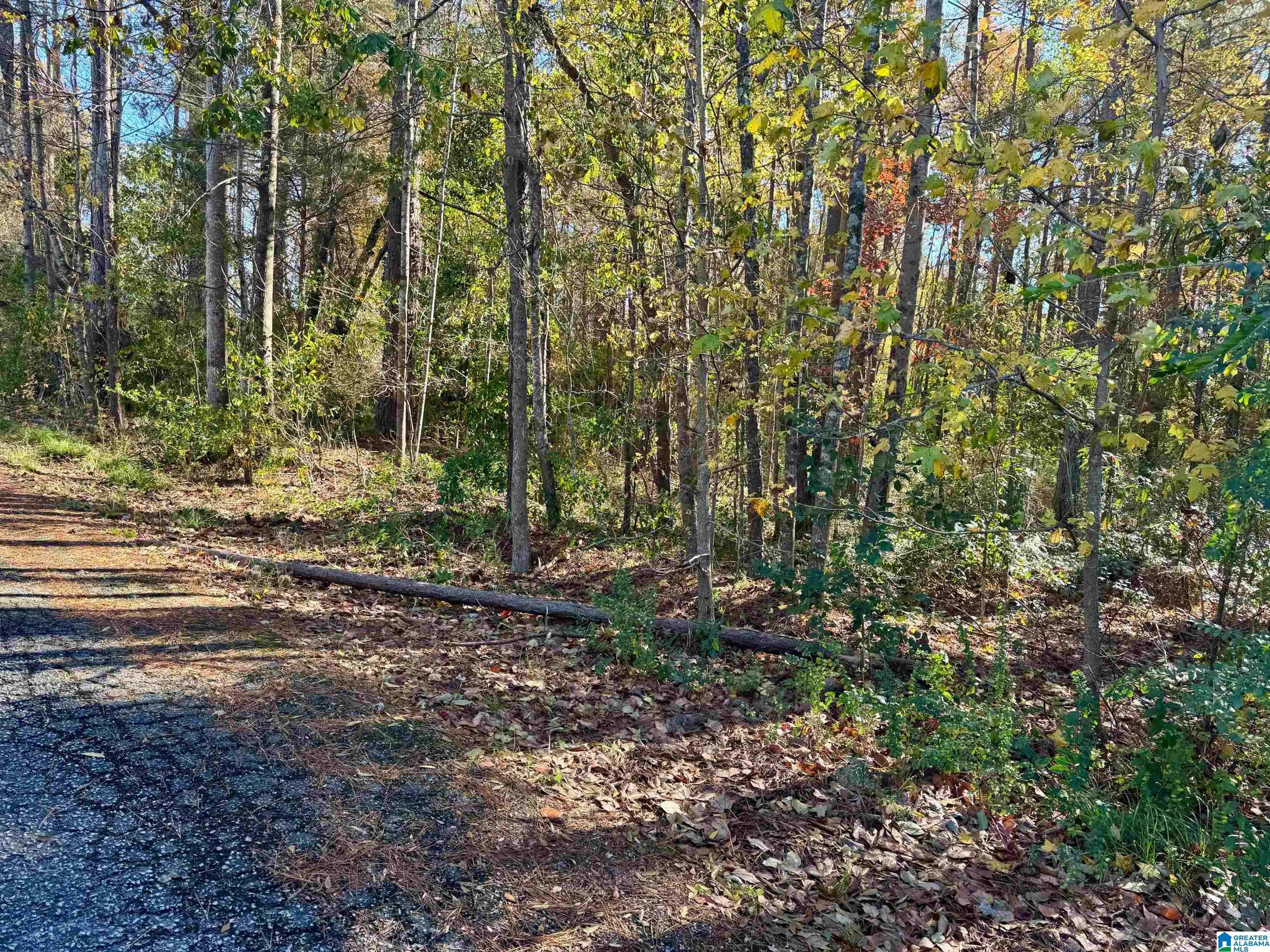 Roanoke, AL 36274,Lot 7 LANE AVENUE #Lot 7