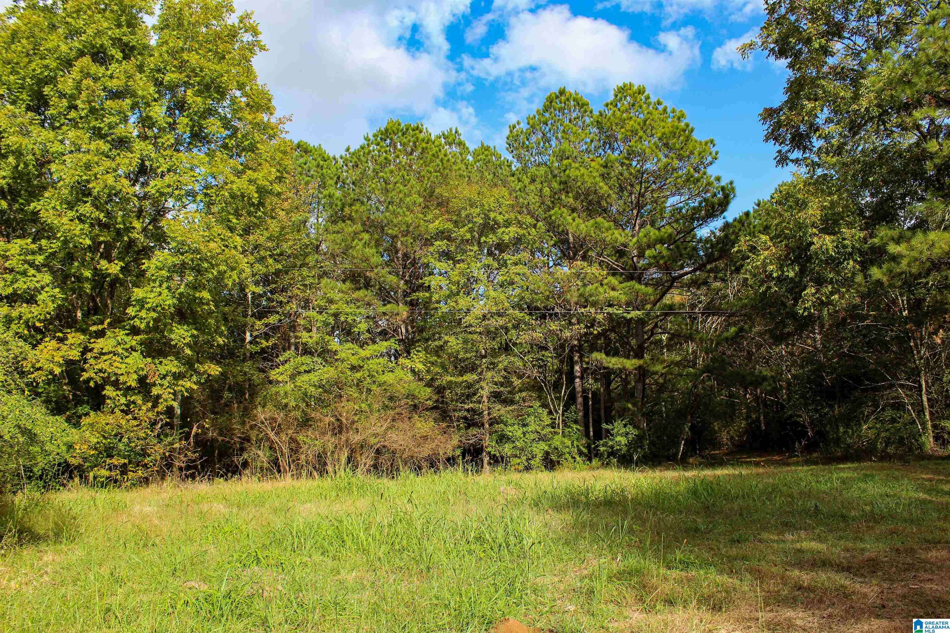 Oakman, AL 35579,1 WILLIAMS ROAD #1