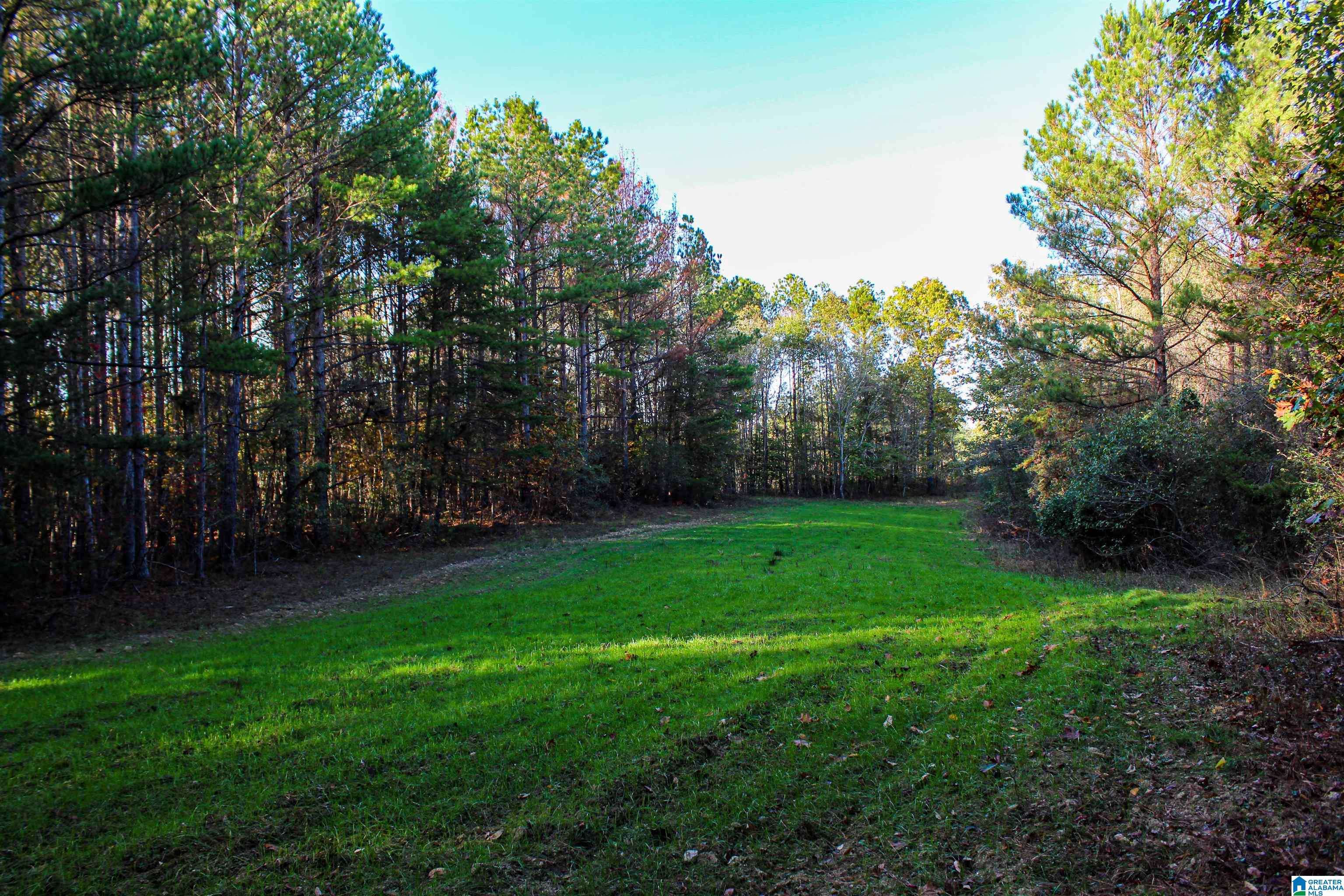 Lynn, AL 35575,1 COUNTY ROAD 1 #1