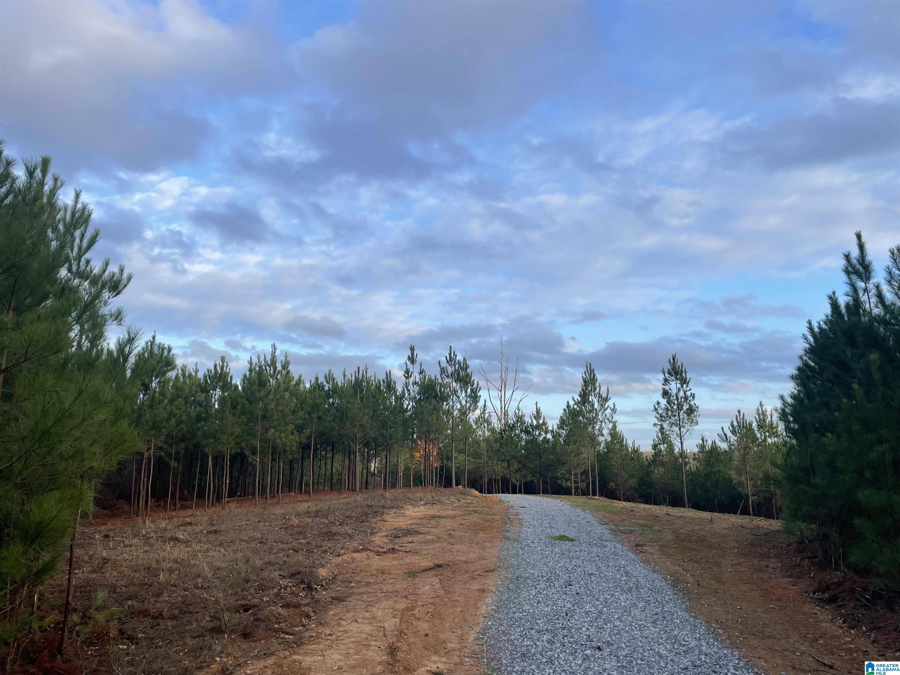 Columbiana, AL 35051,220 SADDLEWOOD TRAILS PARKWAY #1