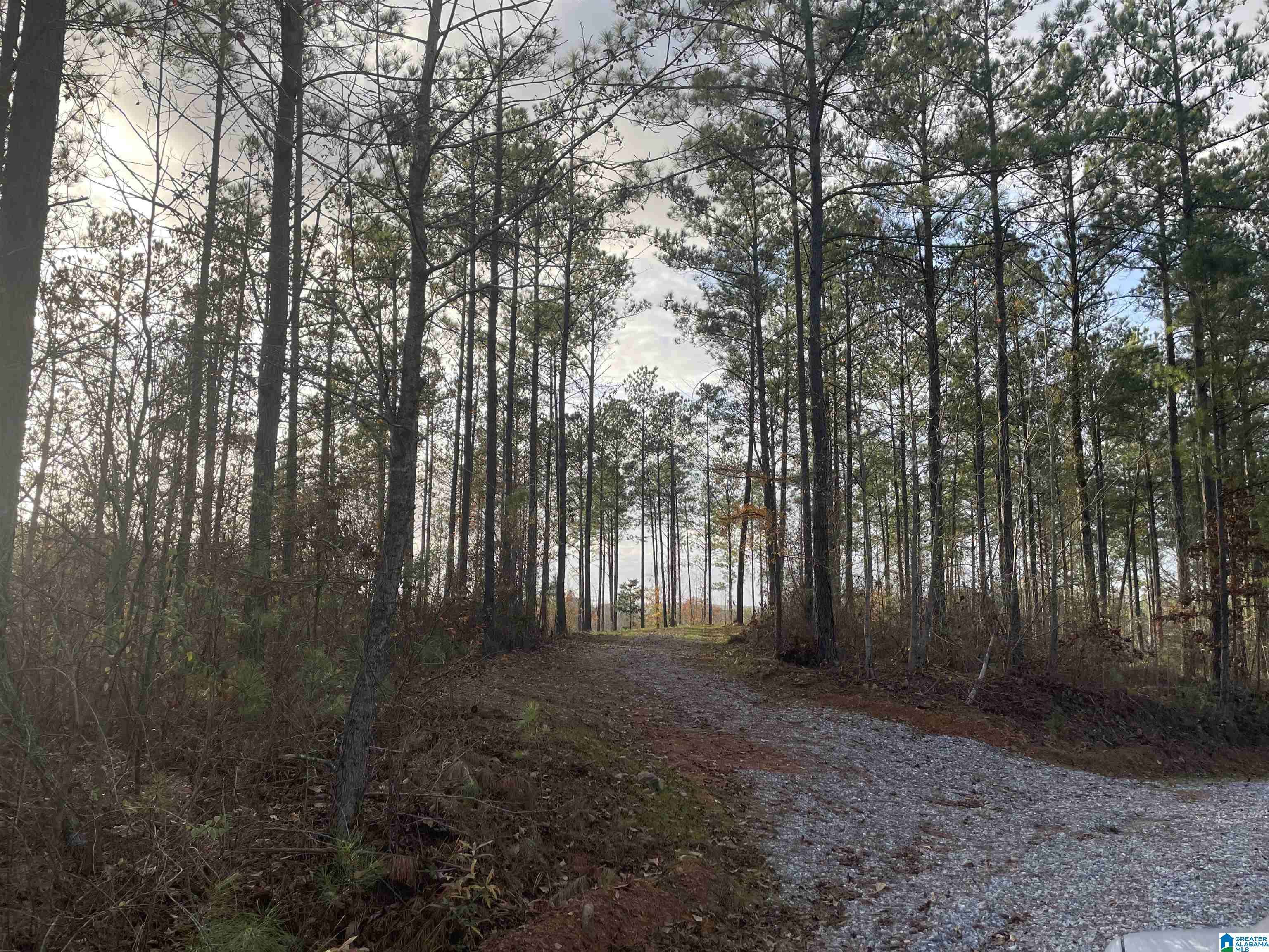 Columbiana, AL 35051,220 SADDLEWOOD TRAILS PARKWAY #1