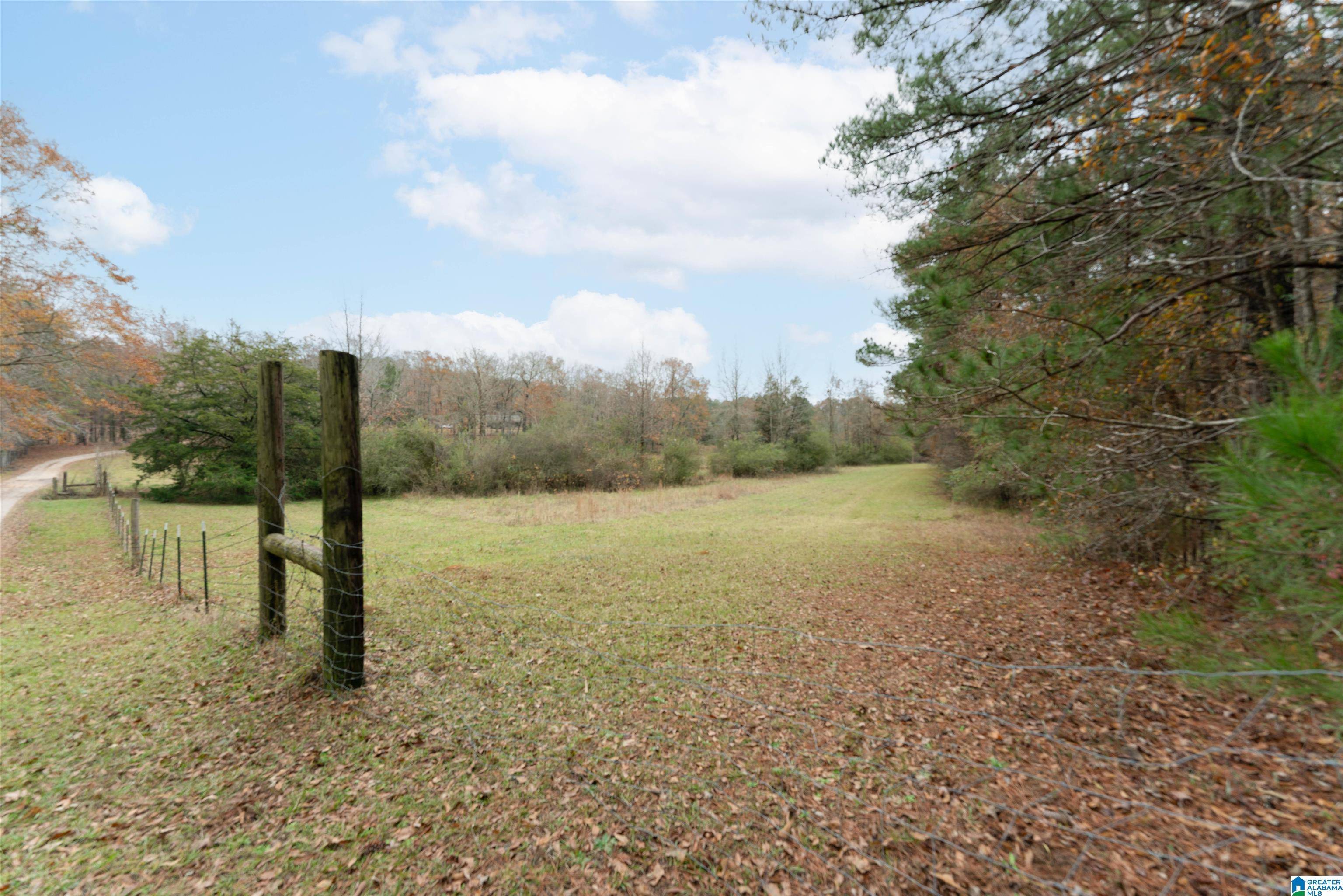 Vance, AL 35490,0 CARTER ROAD #0