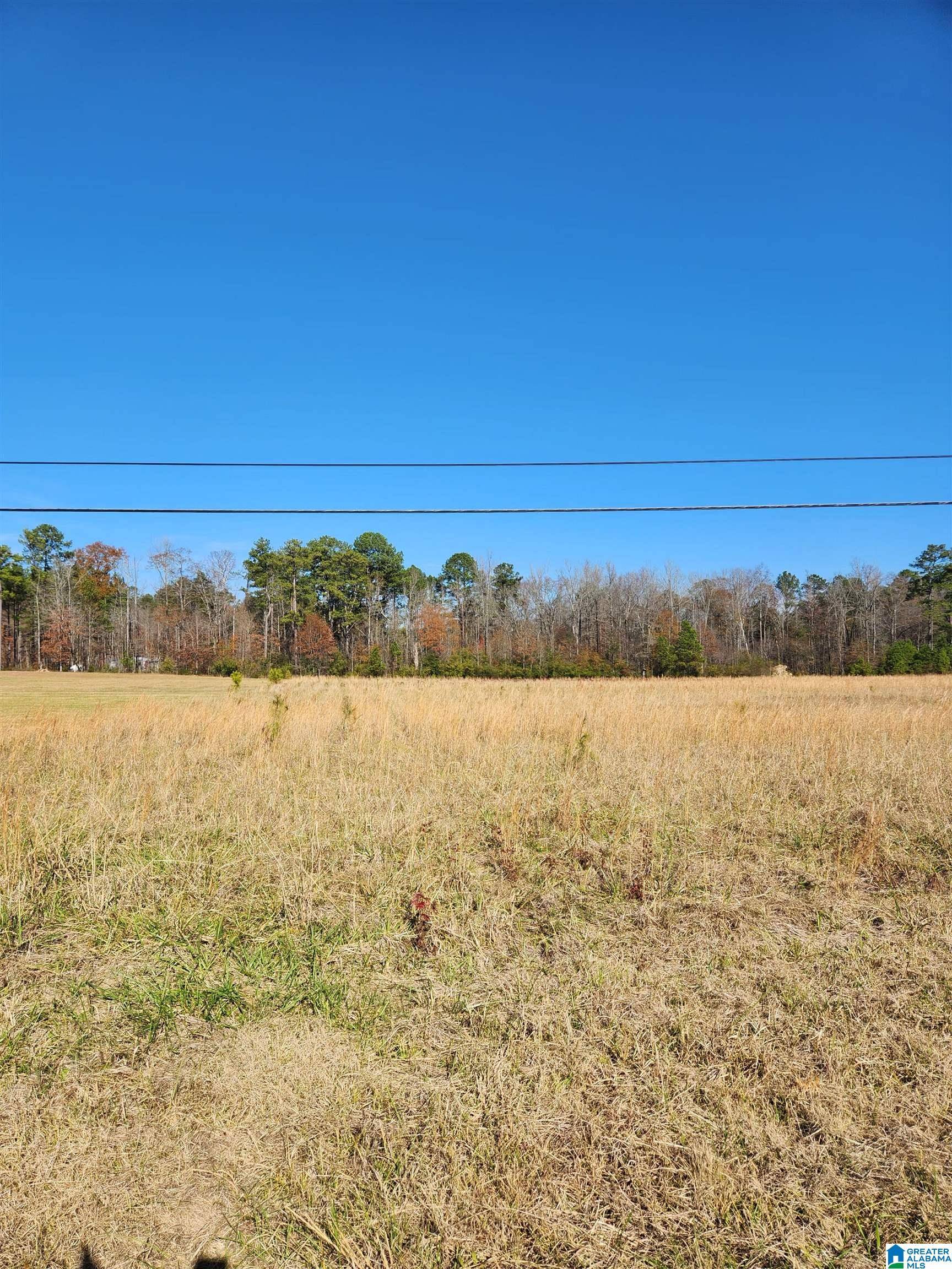 Maylene, AL 35114,460 FOX VALLEY FARMS ROAD #3