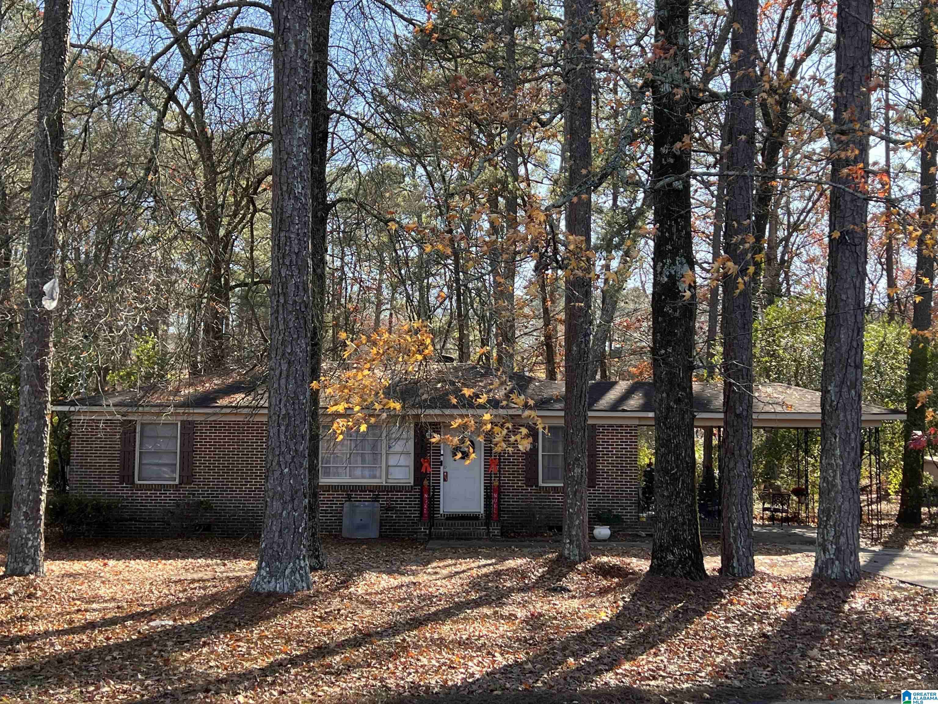 Birmingham, AL 35215,117 LAKE DRIVE NE