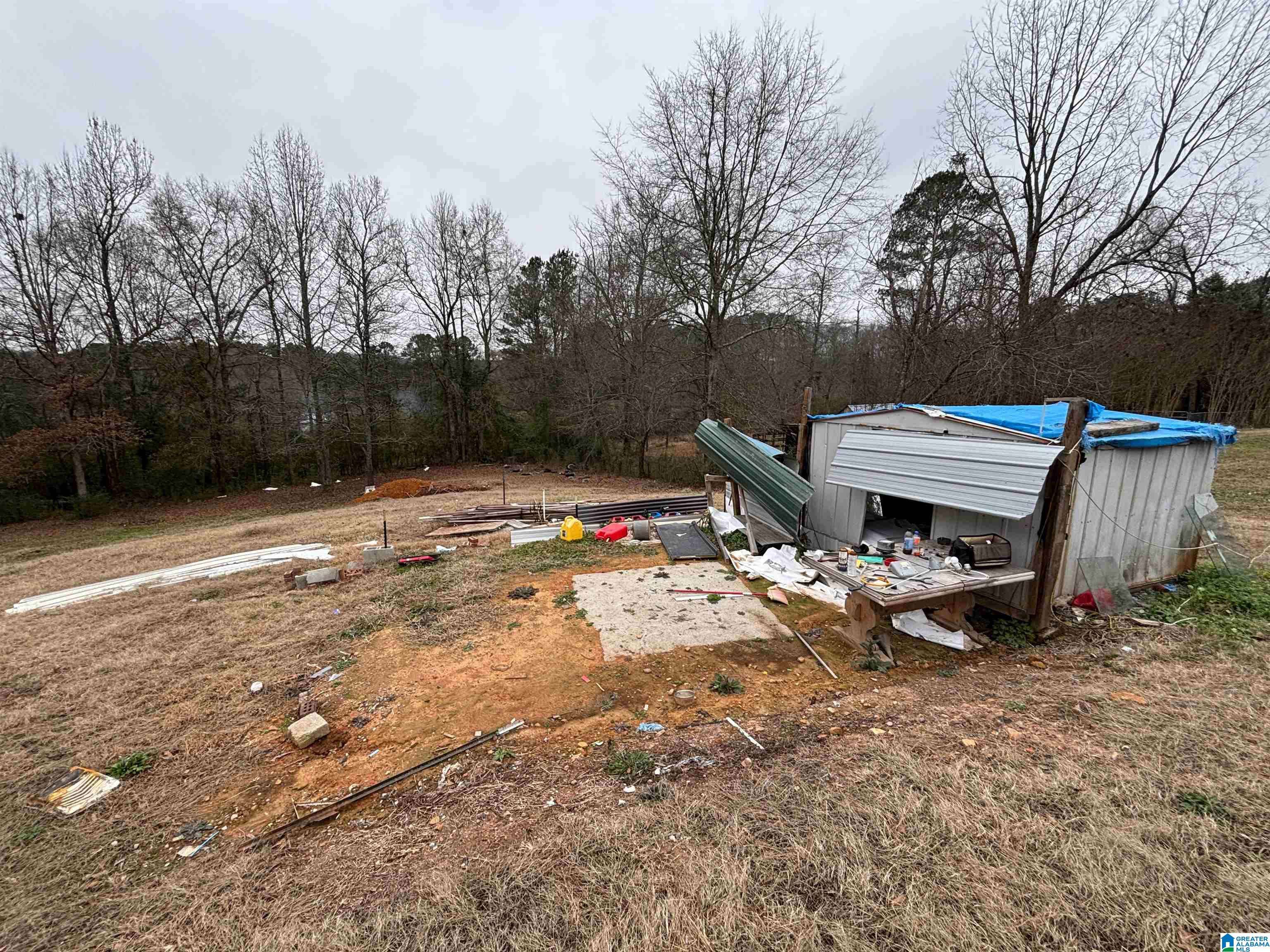 Ragland, AL 35131,185 BELL DRIVE