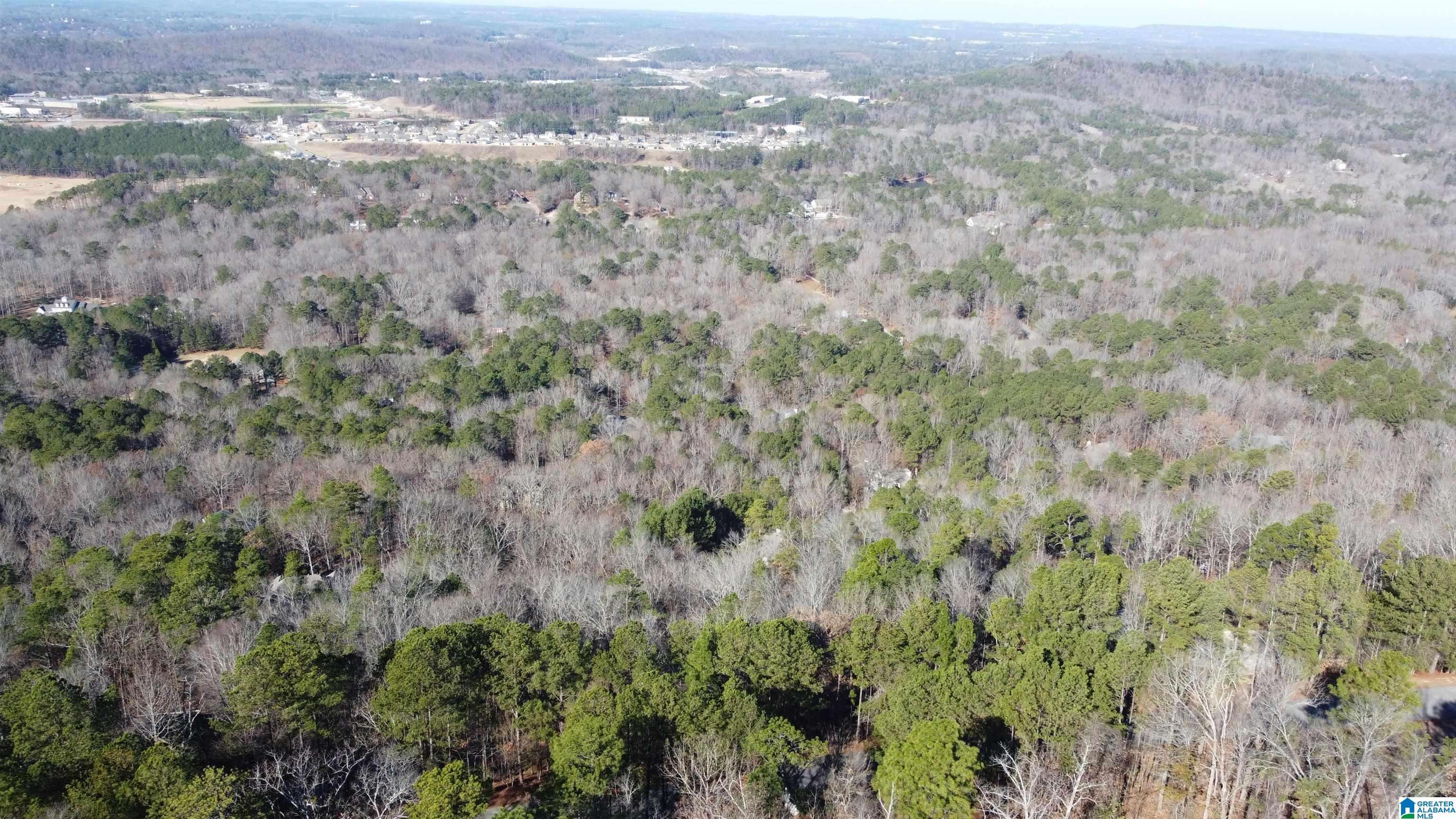 Pelham, AL 35124,168 KINGS CREST LANE #93