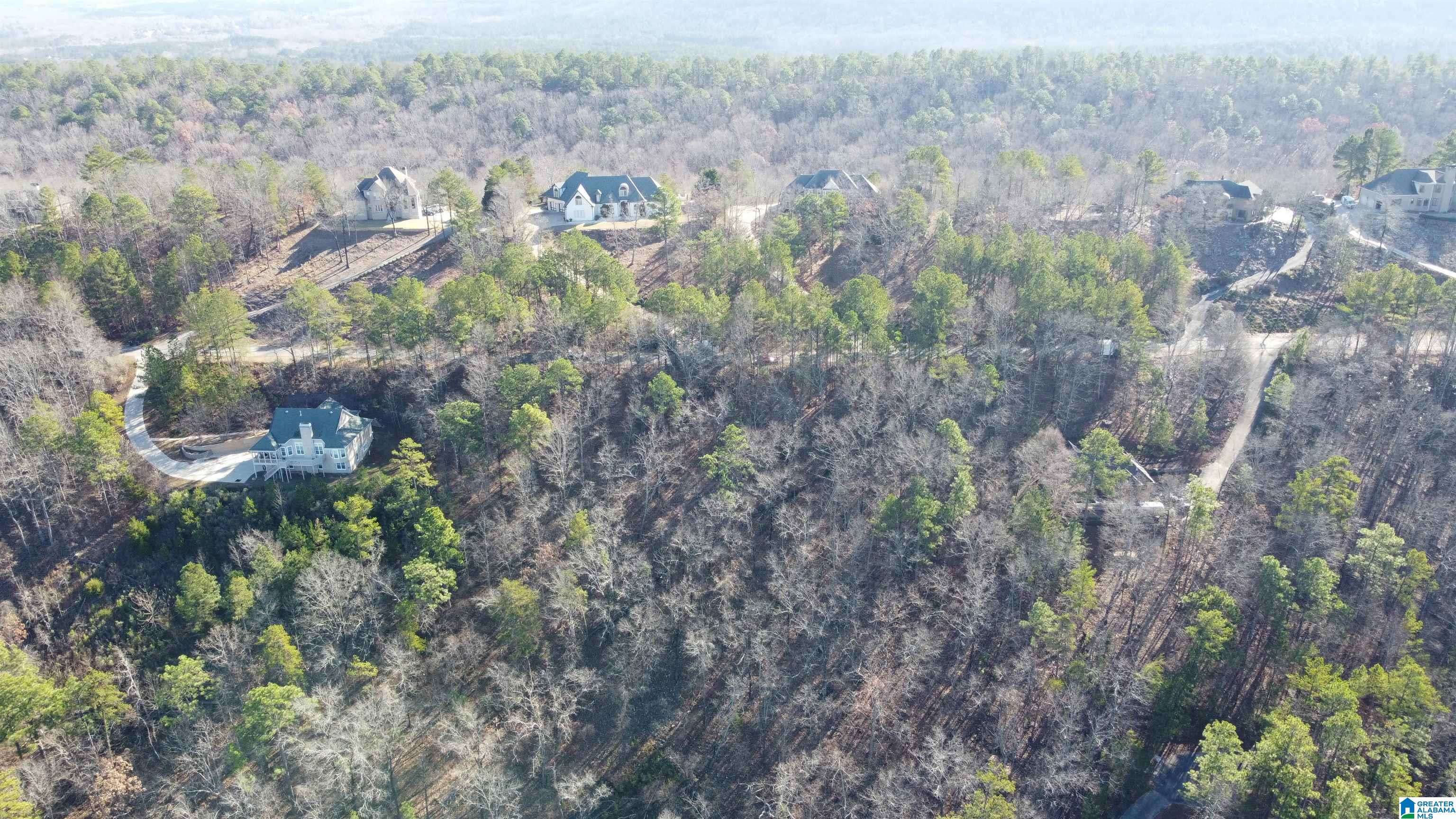 Pelham, AL 35124,168 KINGS CREST LANE #93