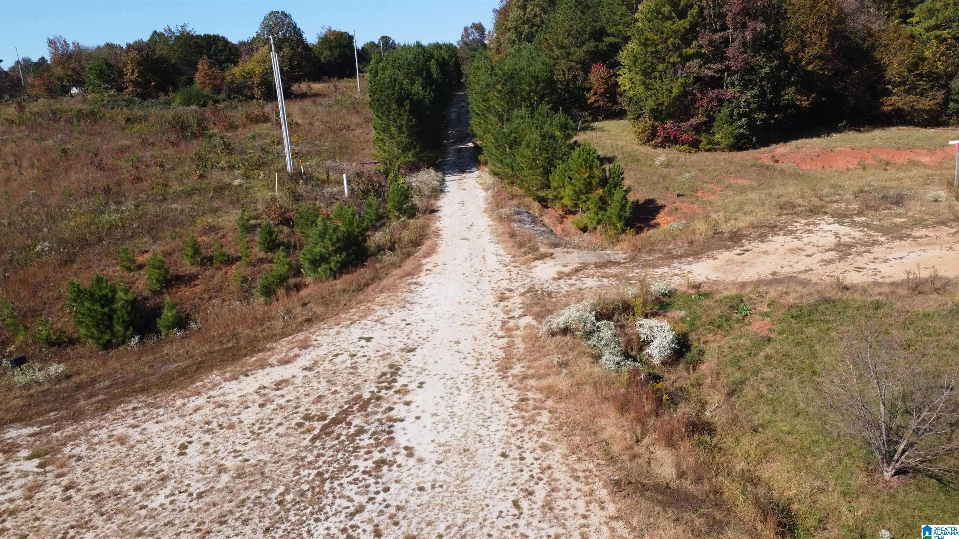 Roanoke, AL 36274,12994 COUNTY ROAD 65