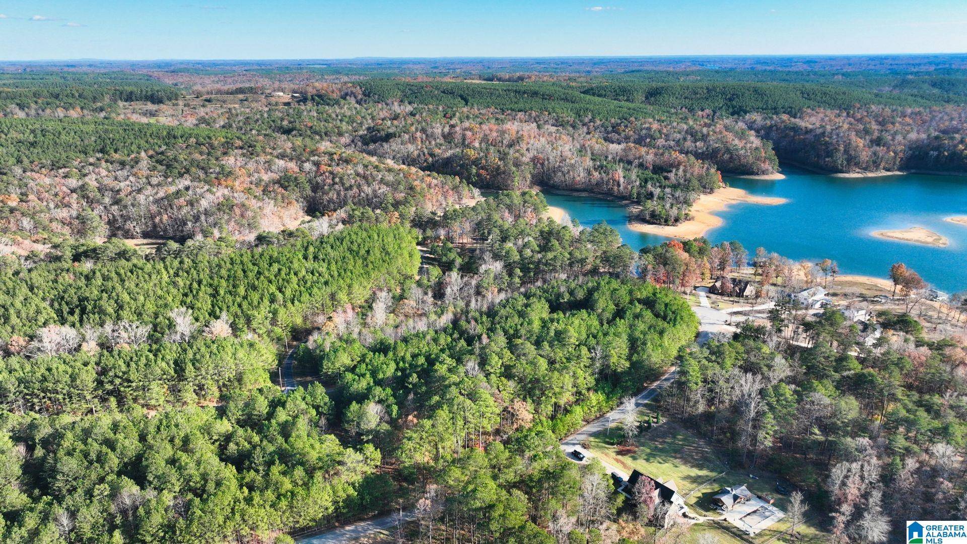 Arley, AL 35541,0 ARLEY LANDING #21