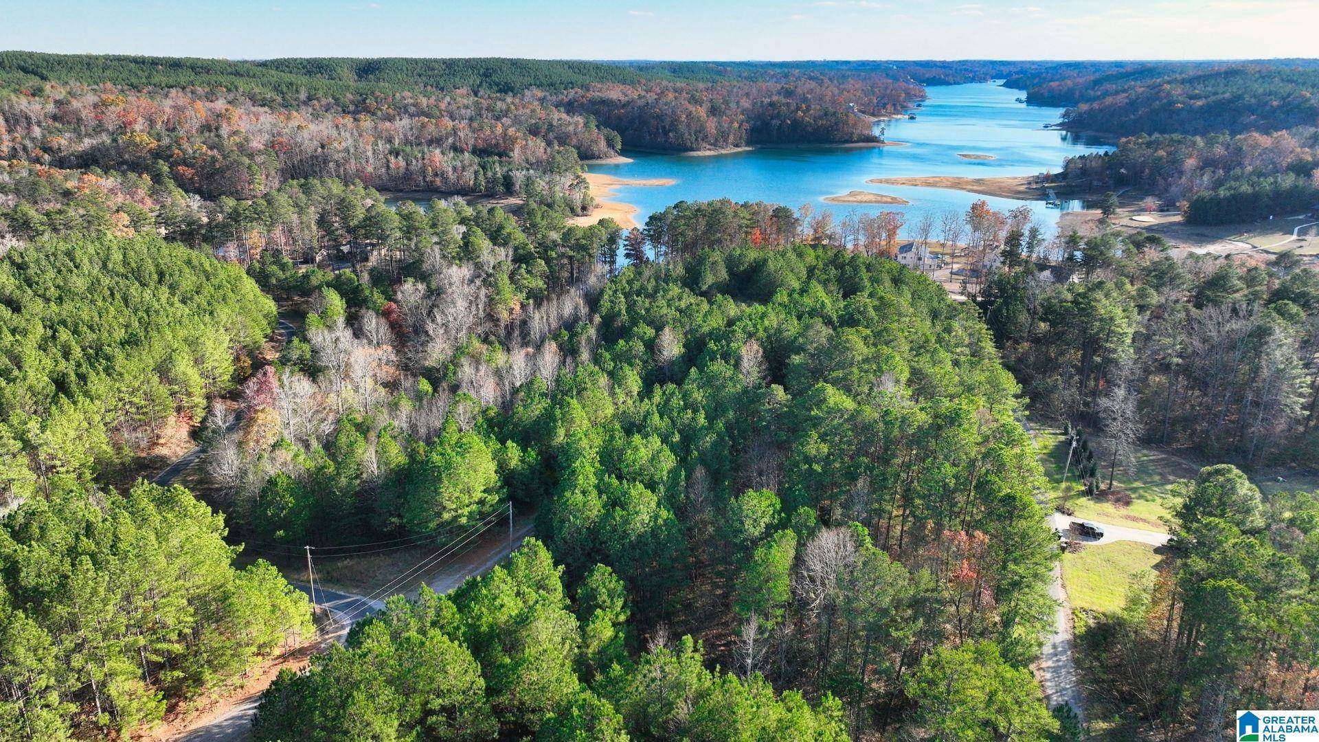 Arley, AL 35541,0 ARLEY LANDING #21
