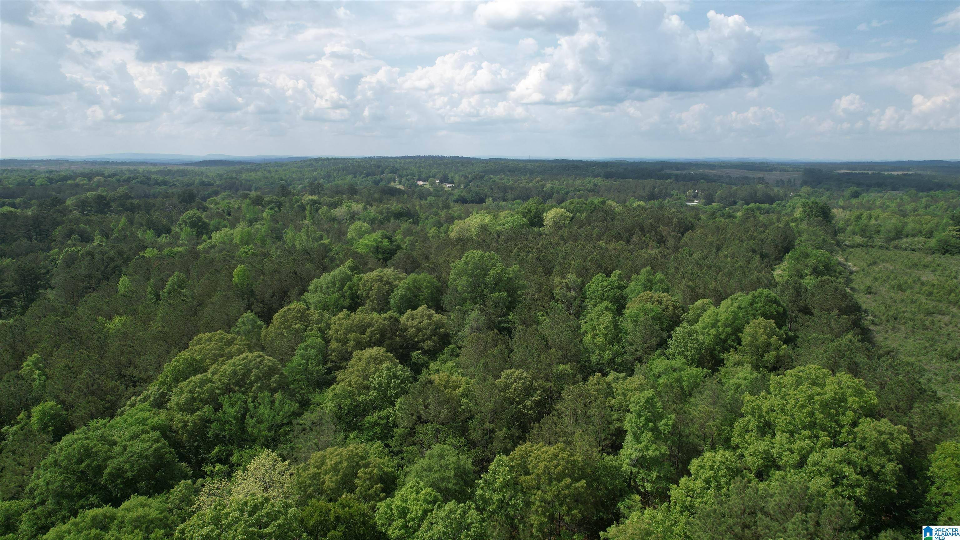 Talladega, AL 35160,0 ARMSTRONG MTN LANE #9.9acres