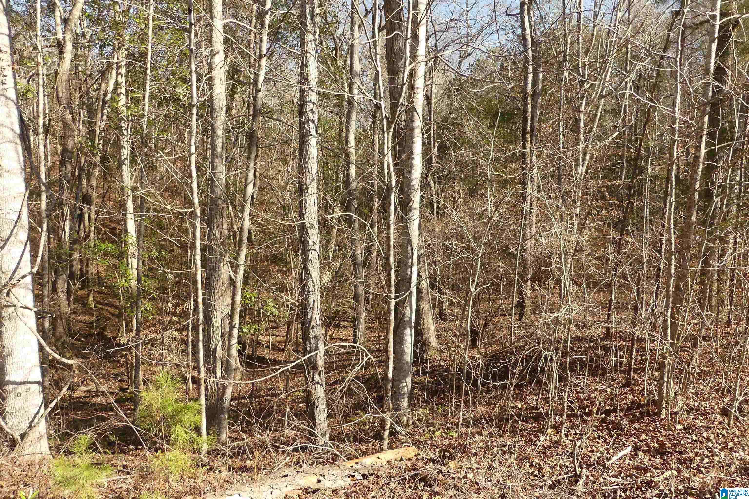 Delta, AL 36258,LOT 8 HARBOUR POINT DRIVE #8