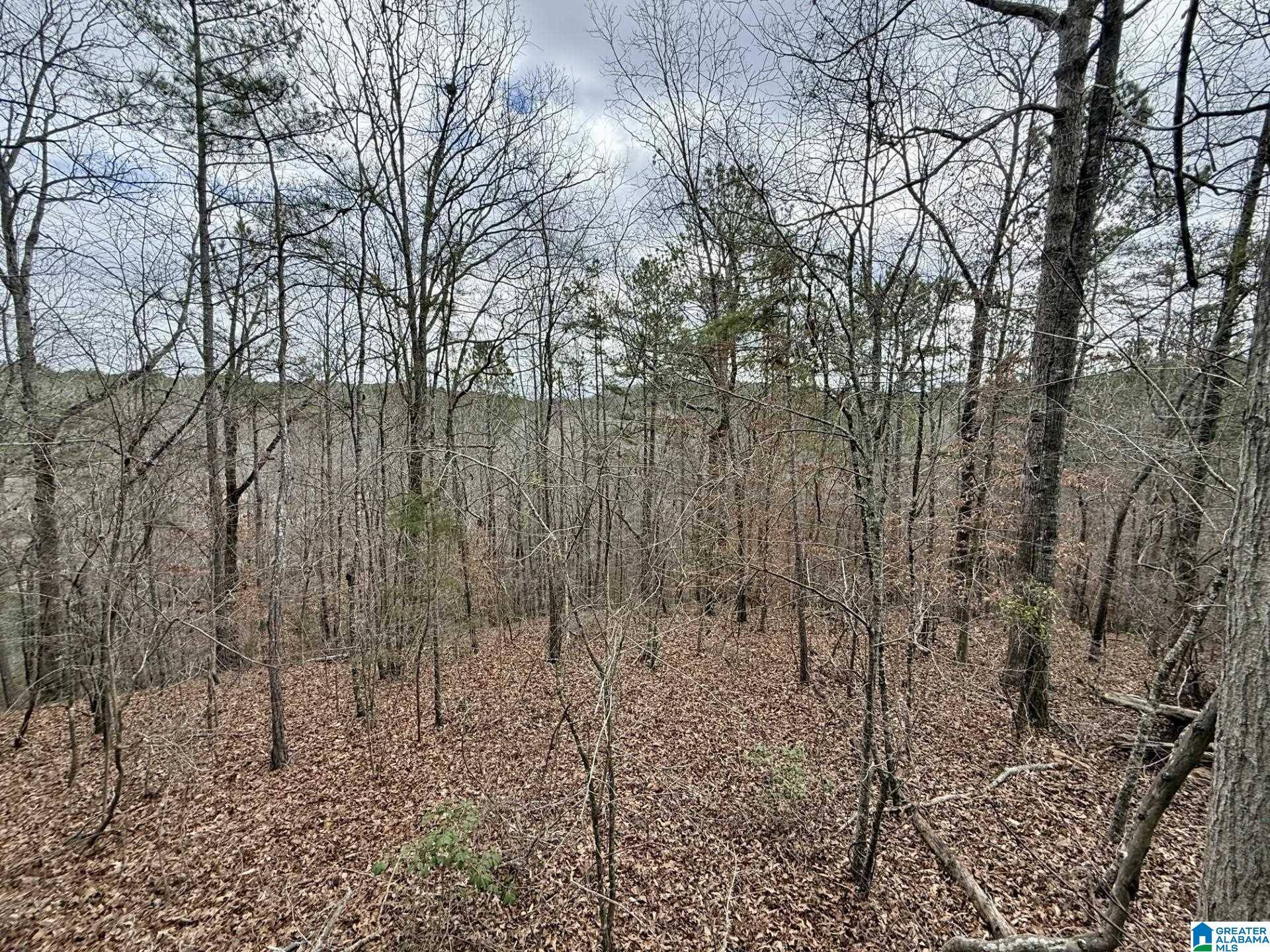 Lineville, AL 36266,0 FOSTER HILLS DRIVE