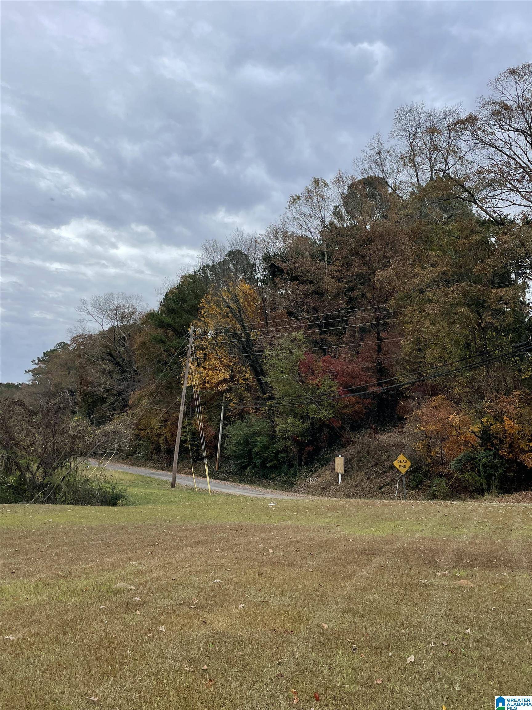 Gardendale, AL 35071,800 MALONE DRIVE #800