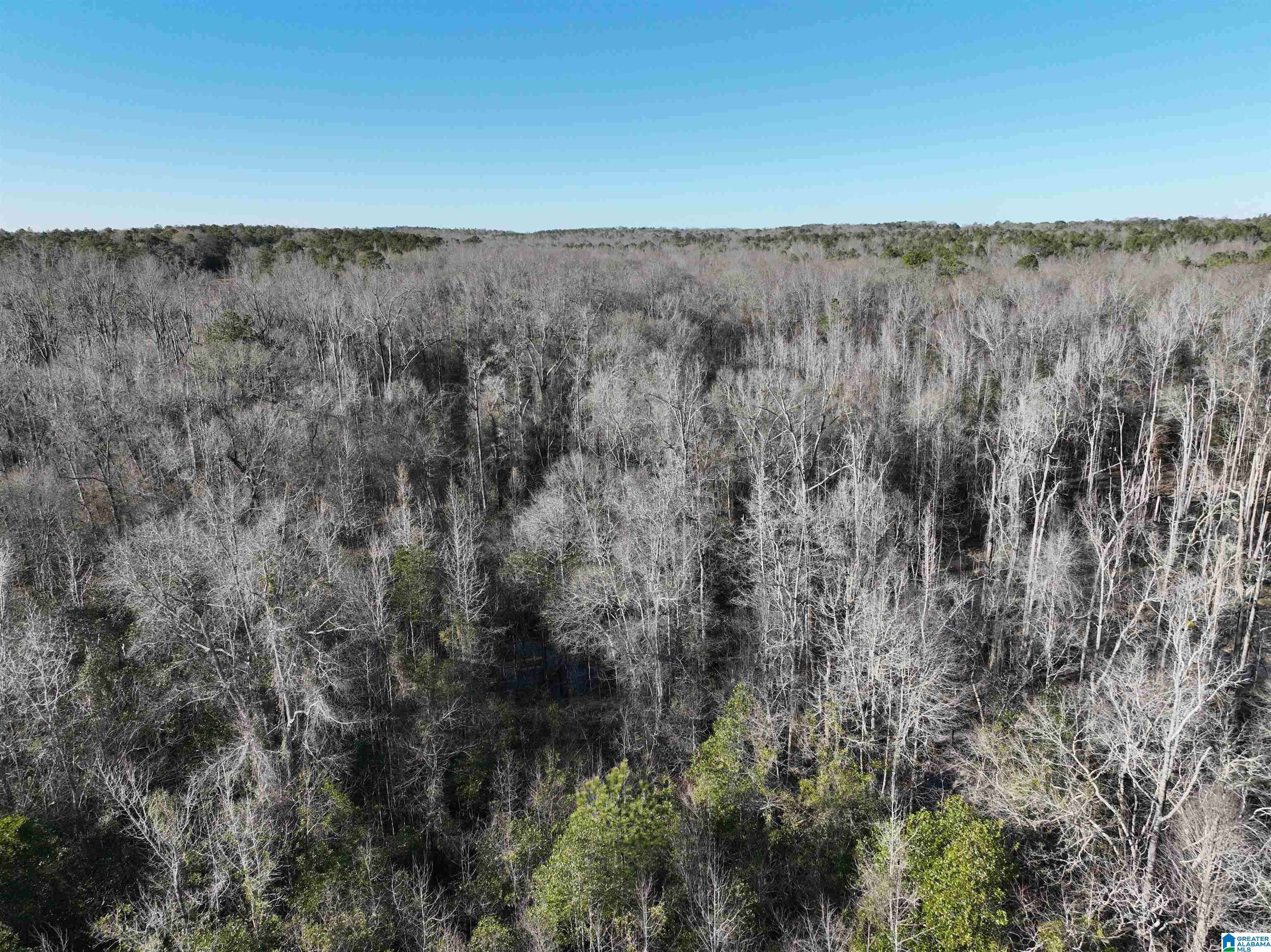 Seale, AL 36875,0 DOE DRIVE #26