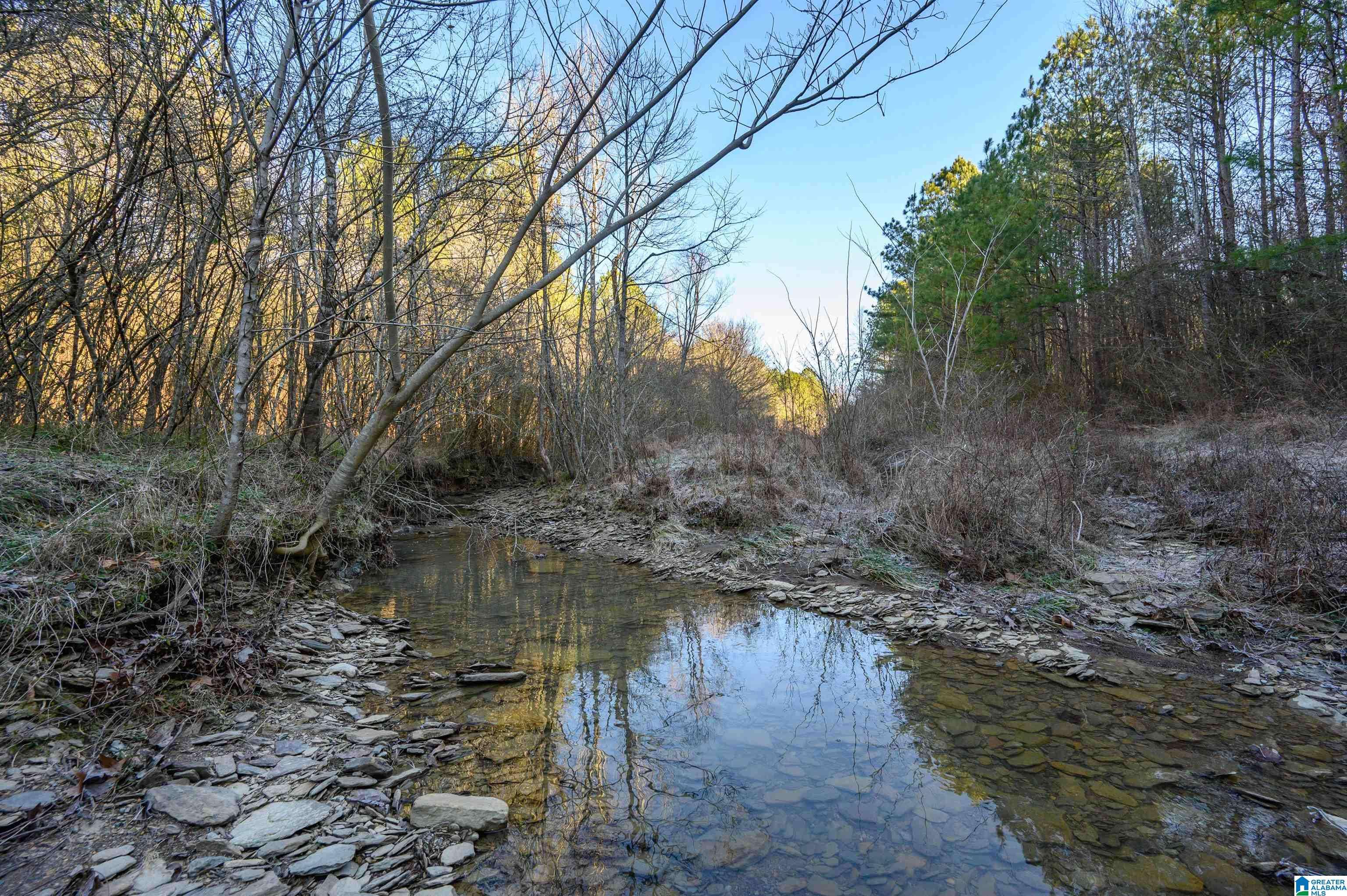 Dodge City, AL 35077,0 COUNTY ROAD 216 #2