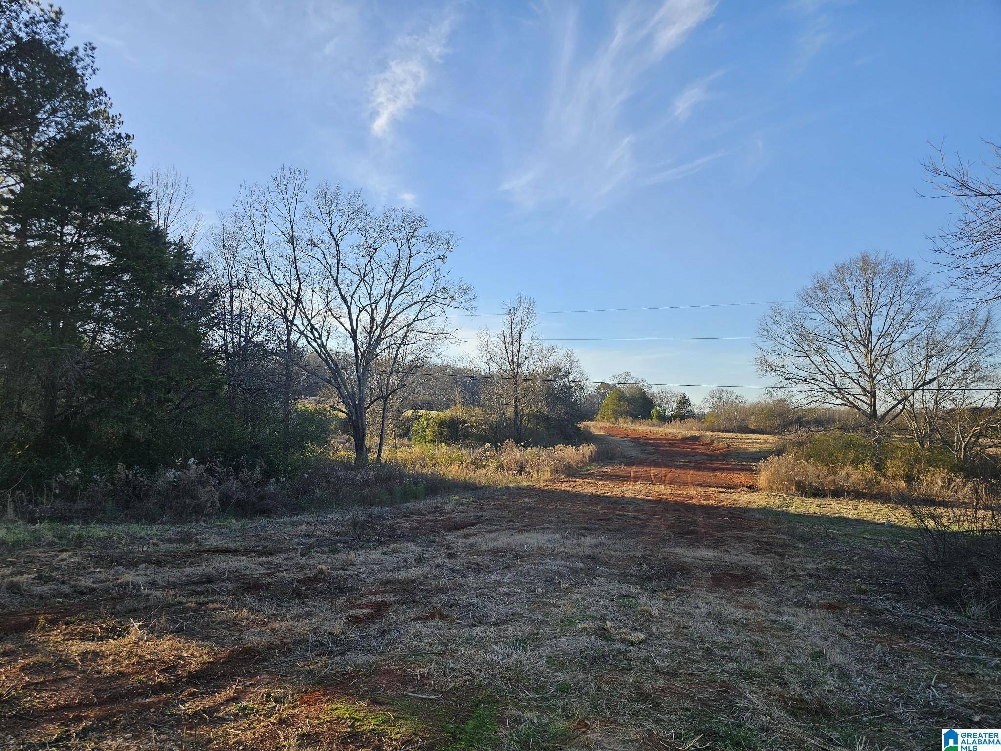 Oxford, AL 36203,0 PEACEFUL VALLEY ROAD #0