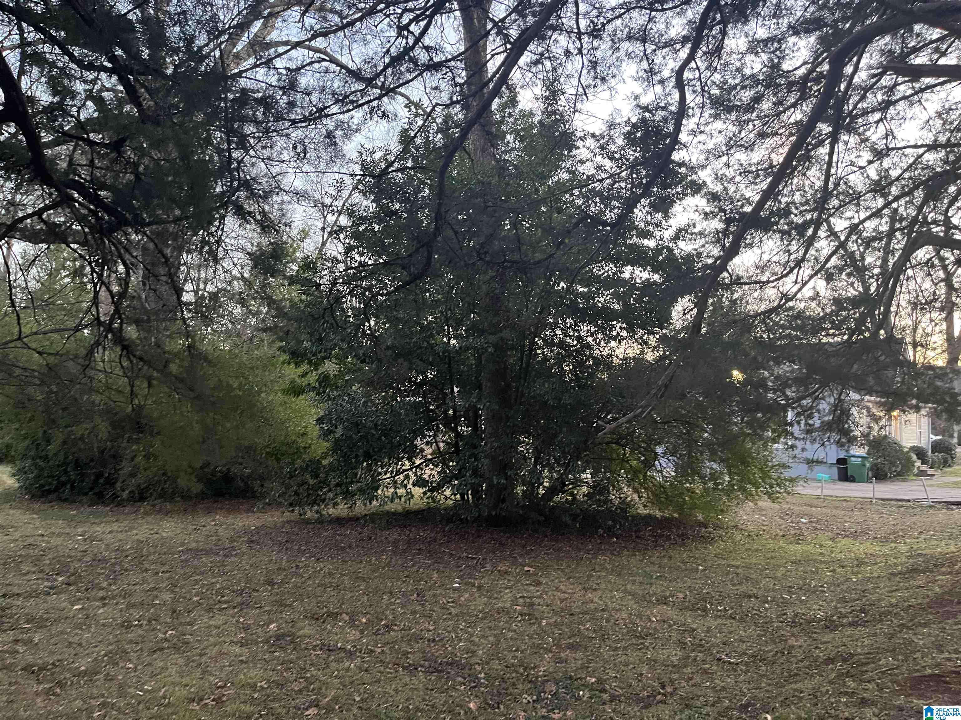 Montevallo, AL 35115,1130 NABORS STREET #2A