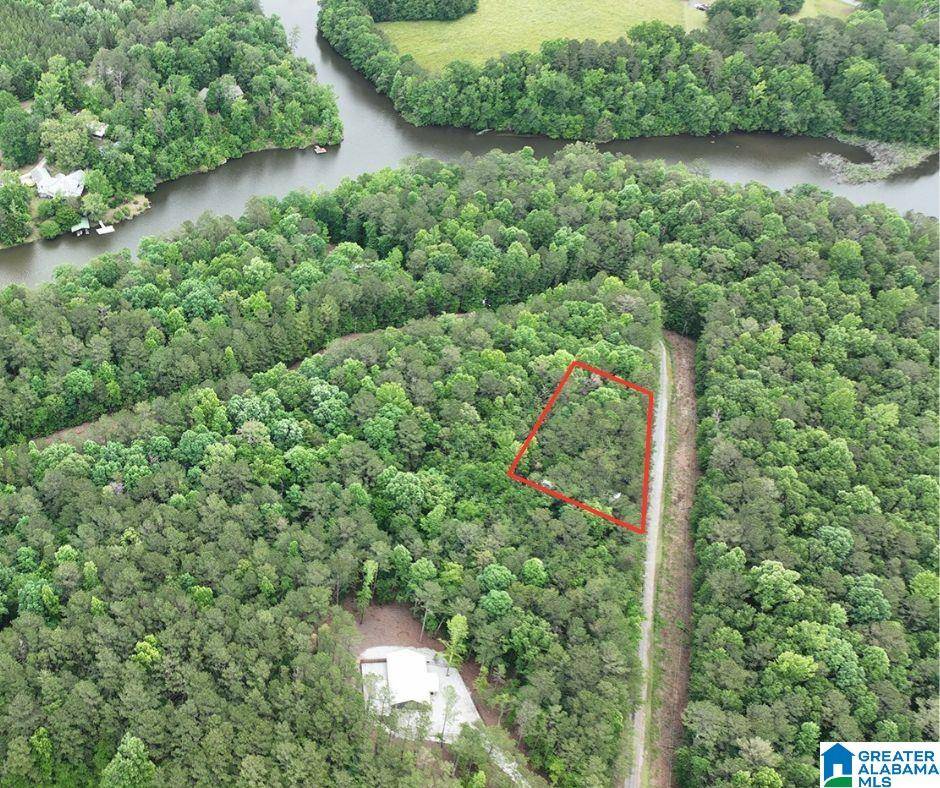 Wedowee, AL 36278,Lot 42 CRYSTAL COVE #Lot 42