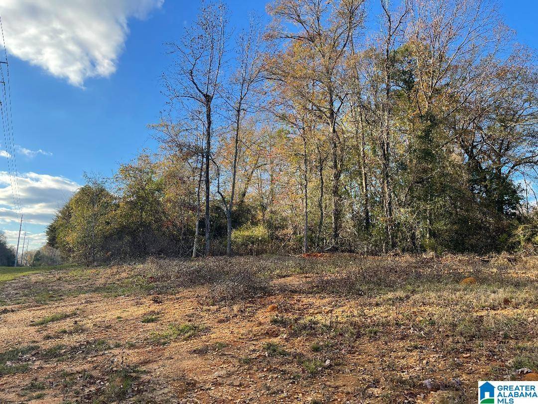 Tuscaloosa, AL 35405,1935 HARGROVE ROAD E