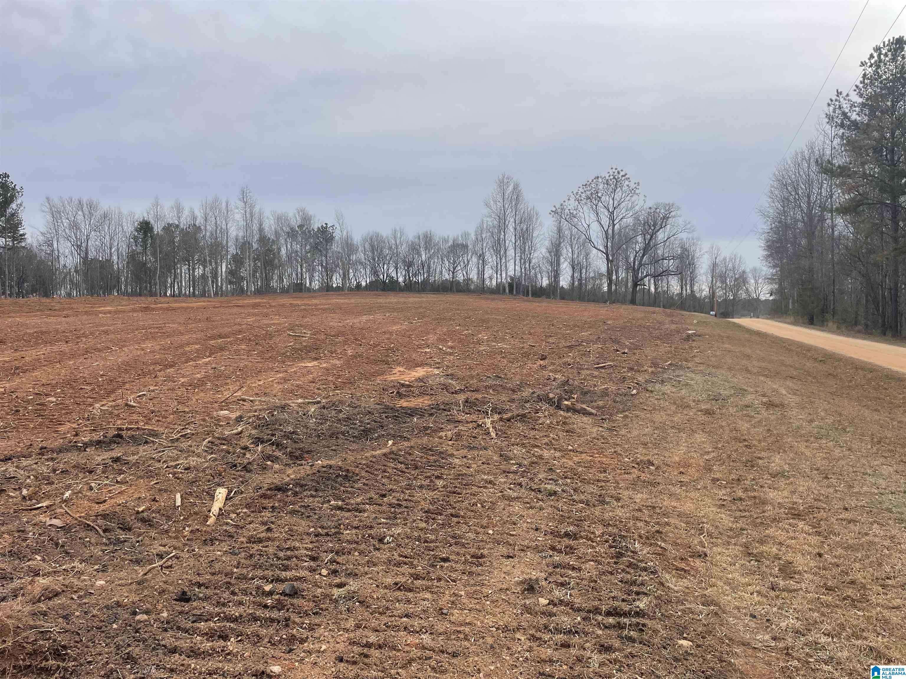 Lineville, AL 36266,13.8 +/- Acres PEACE OF MIND DRIVE #1