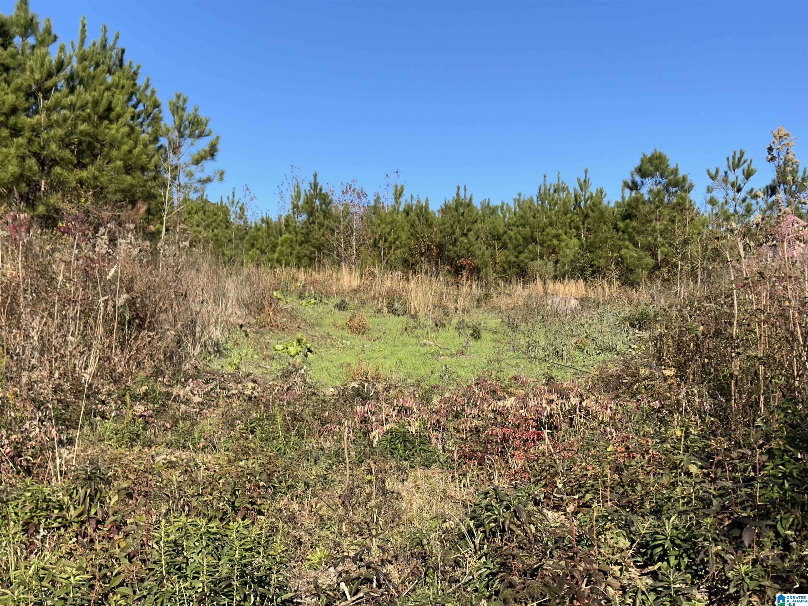 Wilsonville, AL 35186,0 INDUSTRIAL PARK DRIVE #0
