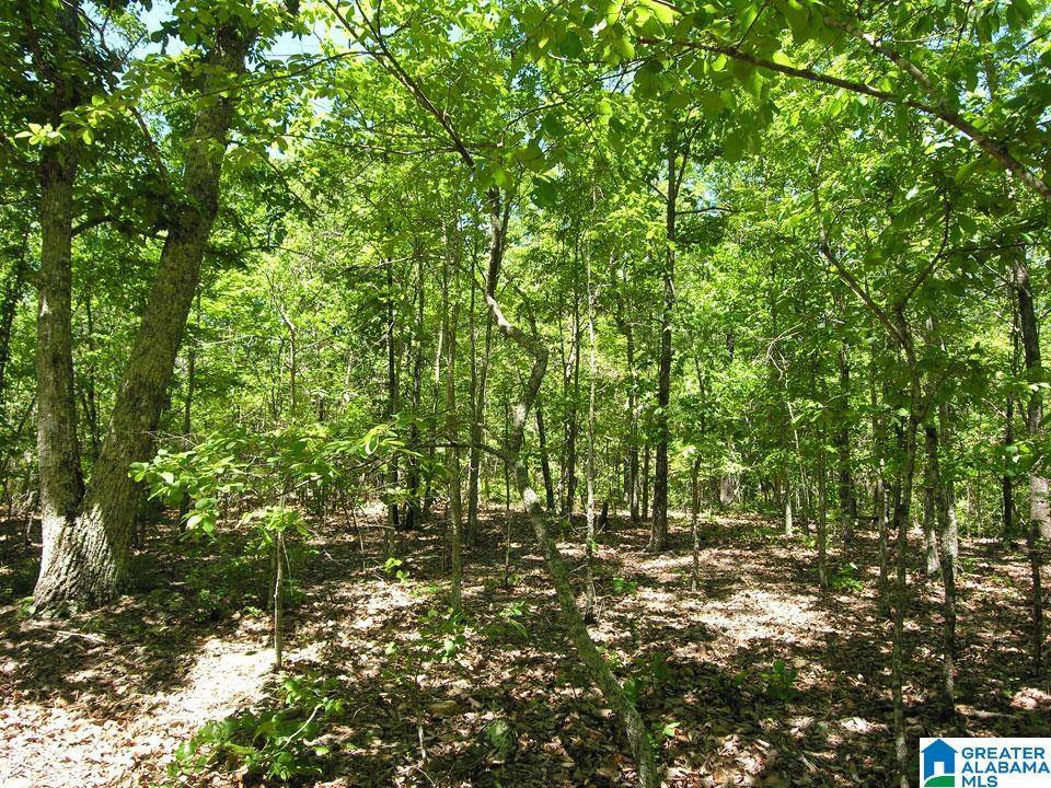Bessemer, AL 35022,4372 SOUTH SHADES CREST ROAD #1