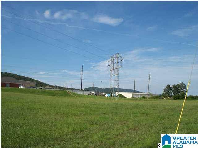Anniston, AL 36207,0 HILLYER ROBINSON PARKWAY #1.79 ACR