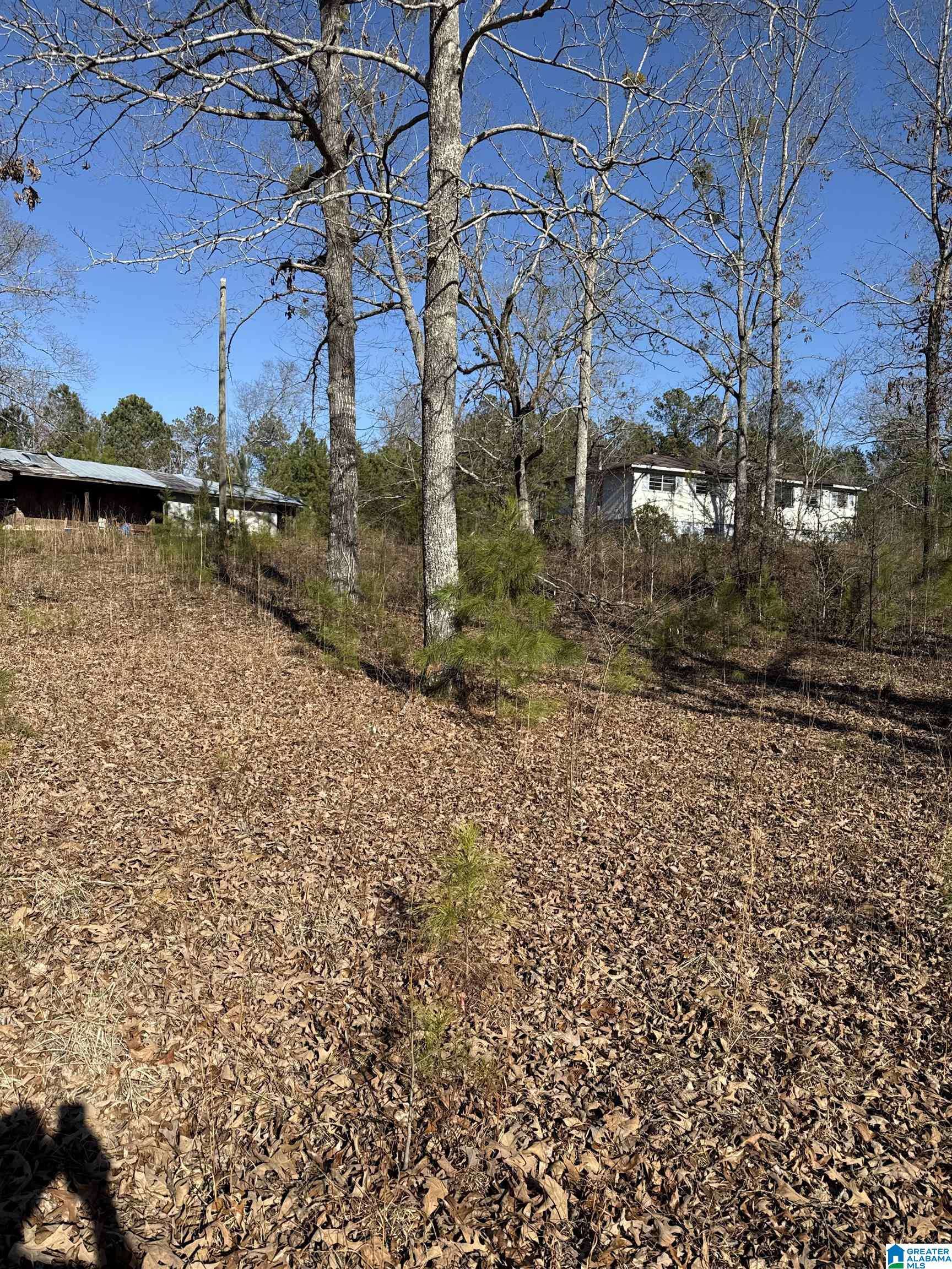 Vandiver, AL 35176,194 HUNTERS LANE