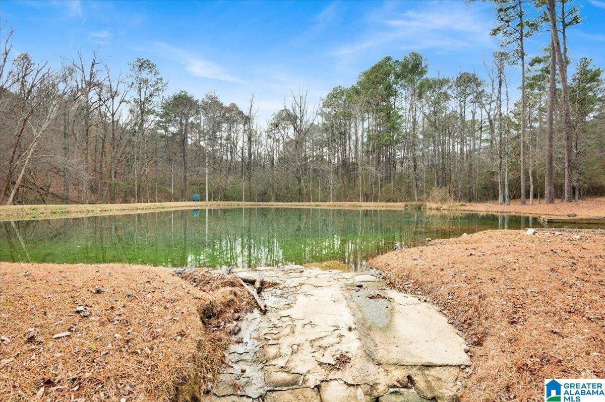 Birmingham, AL 35210,4501 BROOK FOREST LANE