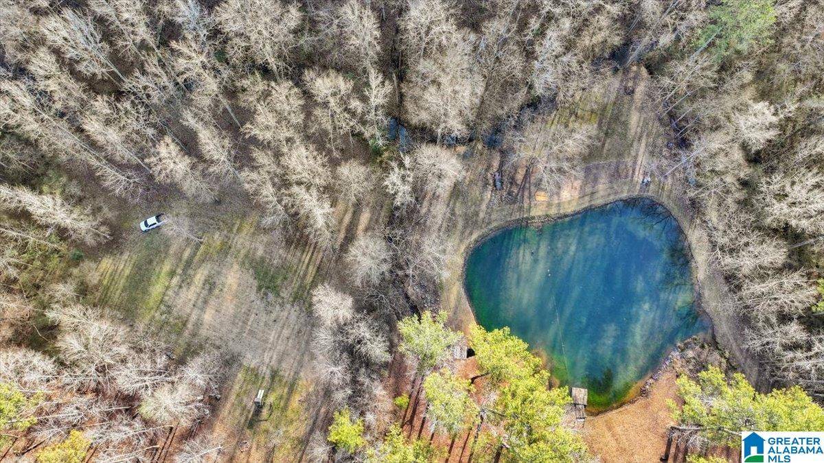 Birmingham, AL 35210,4501 BROOK FOREST LANE